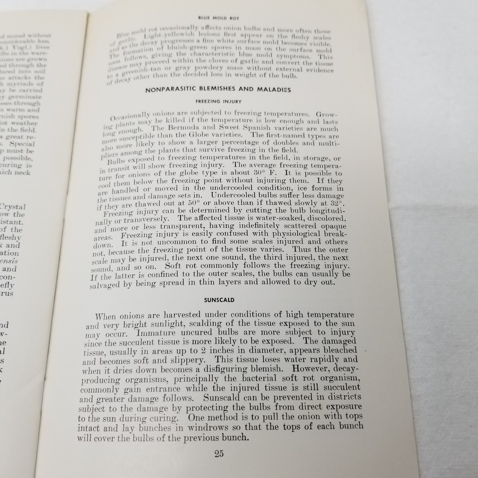 Onion Diseases Control 1947 Farmers’ Bulletin Booklet 1060 USDA Photos Charts