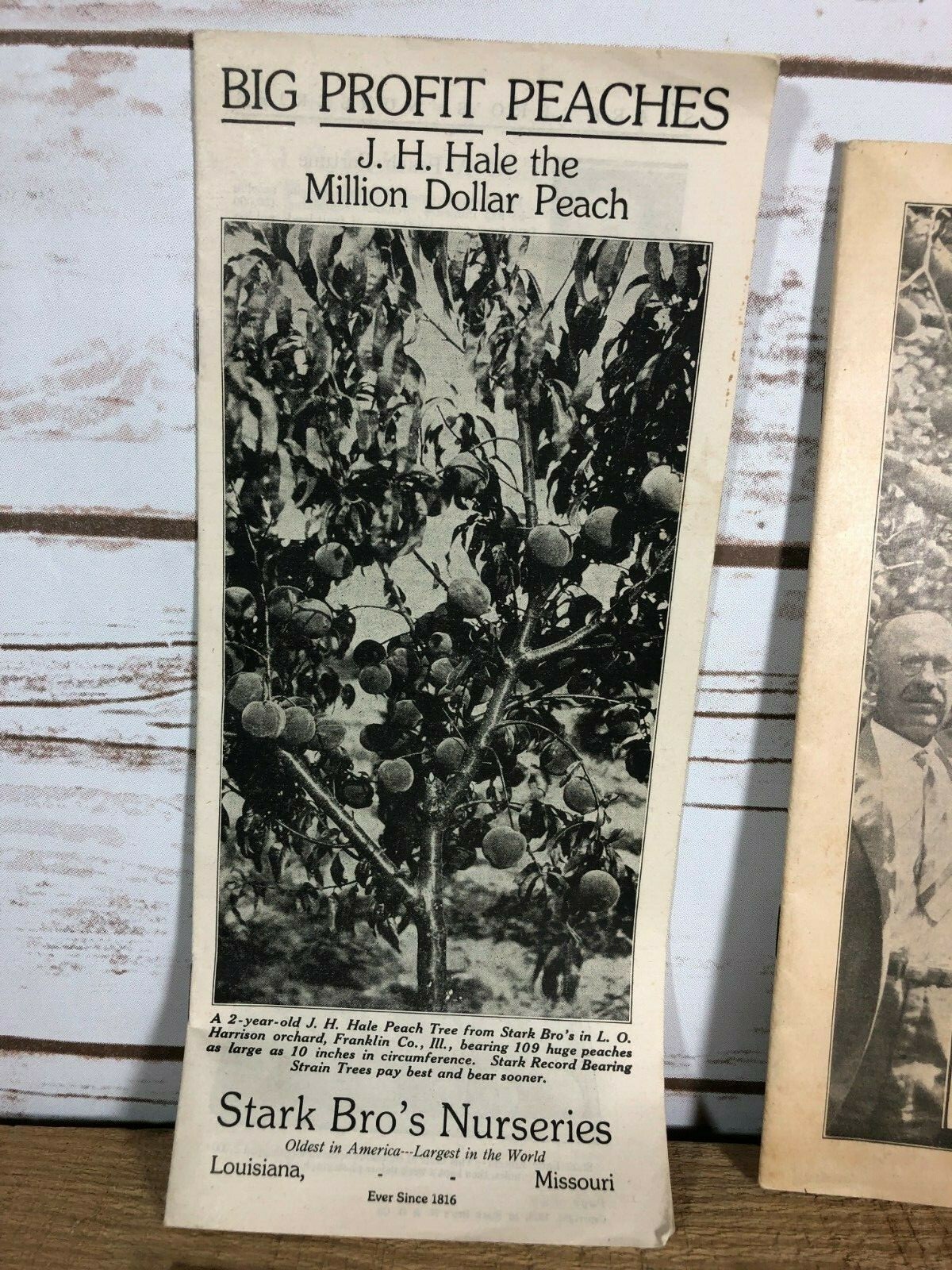 4 Vintage 1930s Stark Bro’s Nurseries Orchard Fruit Trees Brochures Catalogs