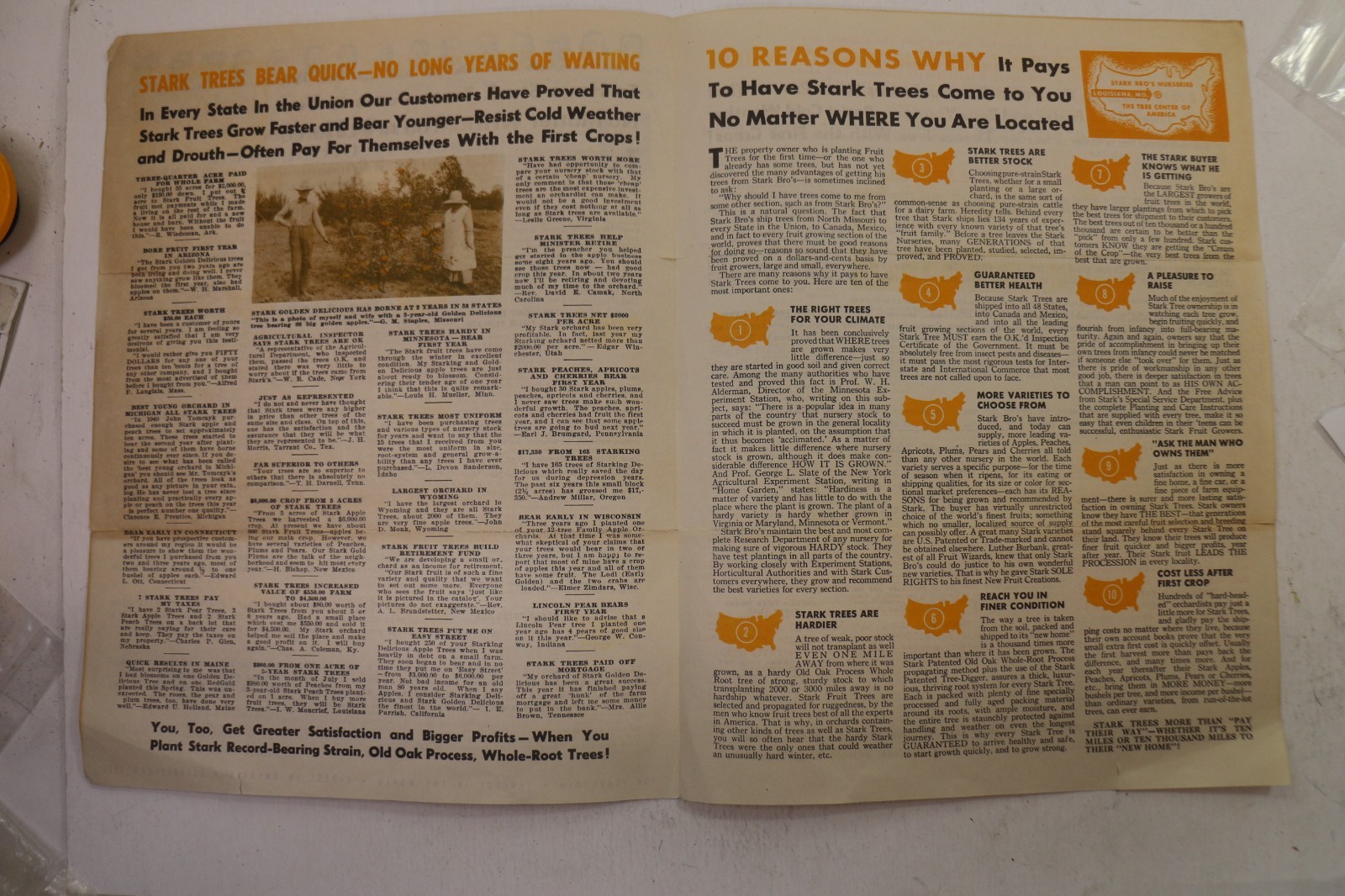 1950s Stark Bro’s Nurseries & Orchards Co. Marketing Circular Catalog