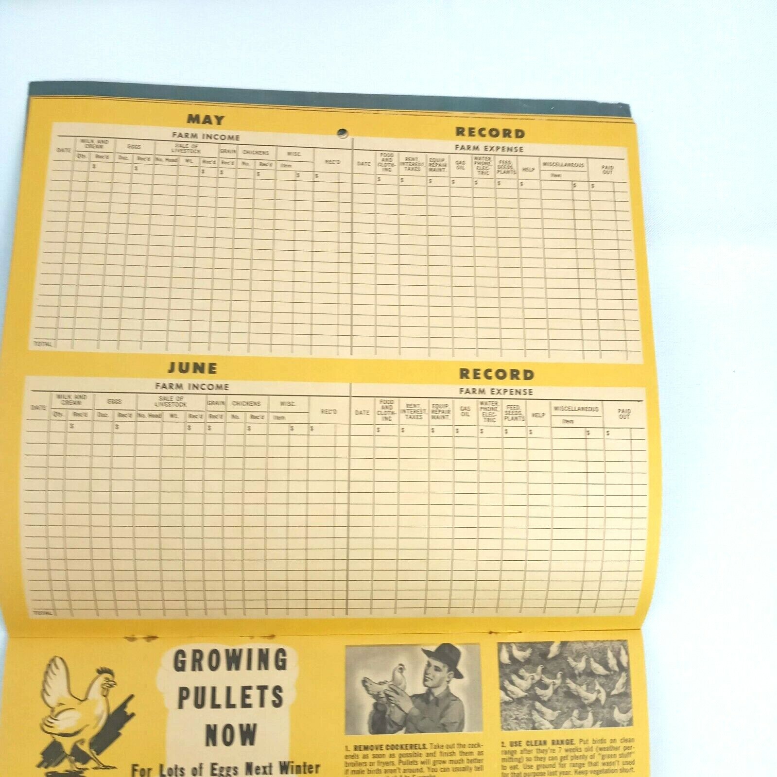 Vintage 1948 Farm Income & Expense Calendar Gehl’s Market Pig Production Plan