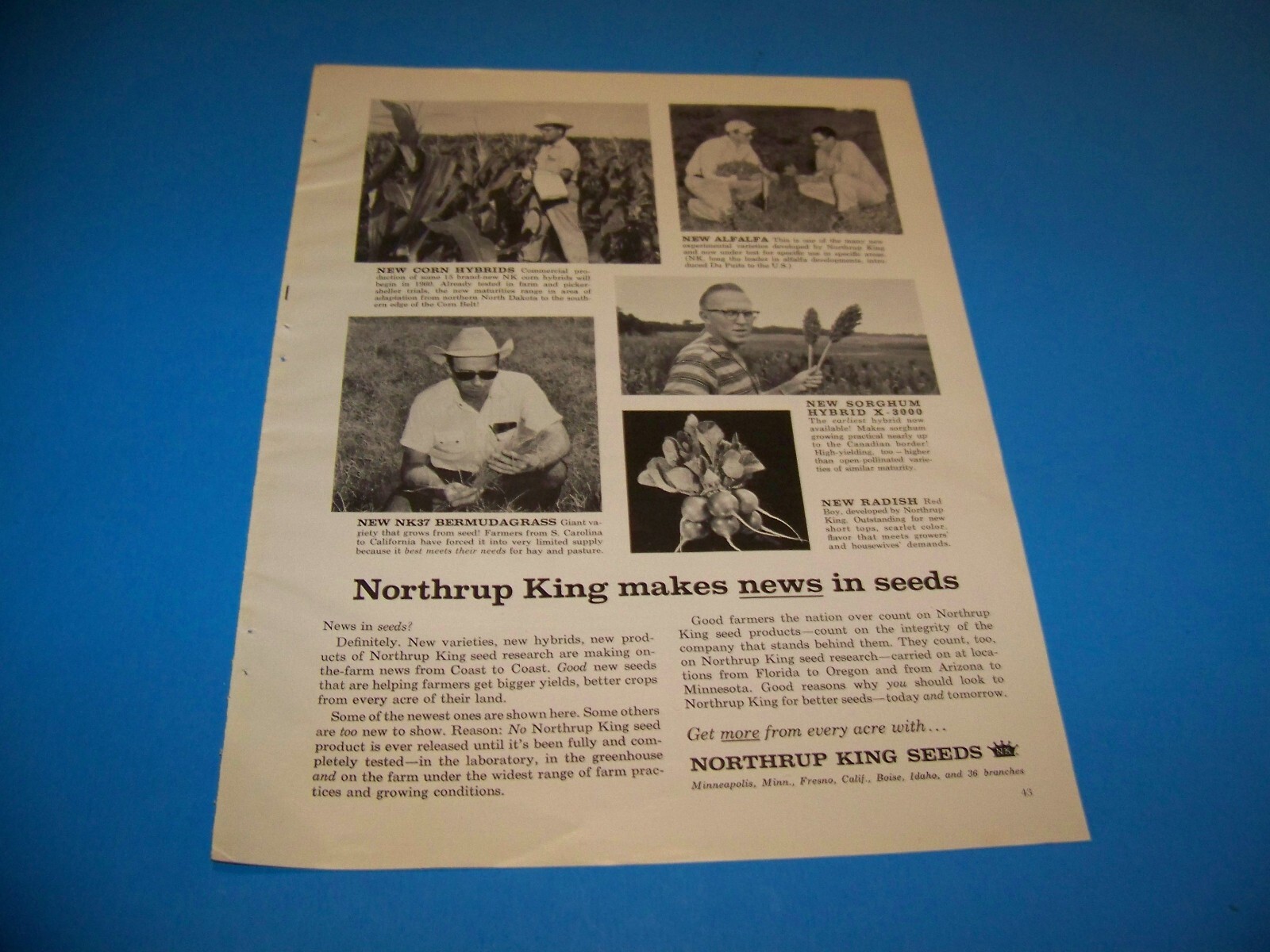 Bell Telephone / Northrup Seeds Agricultural Print Ad from Magazine Vintage 1960