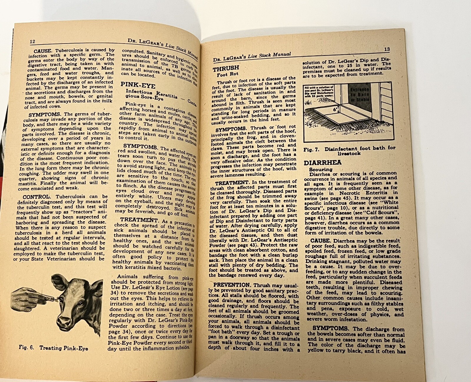 Dr. LeGear’s Booklet Poultry Guide Live Stock Manual Horses Sheep 1940’s LOT 2