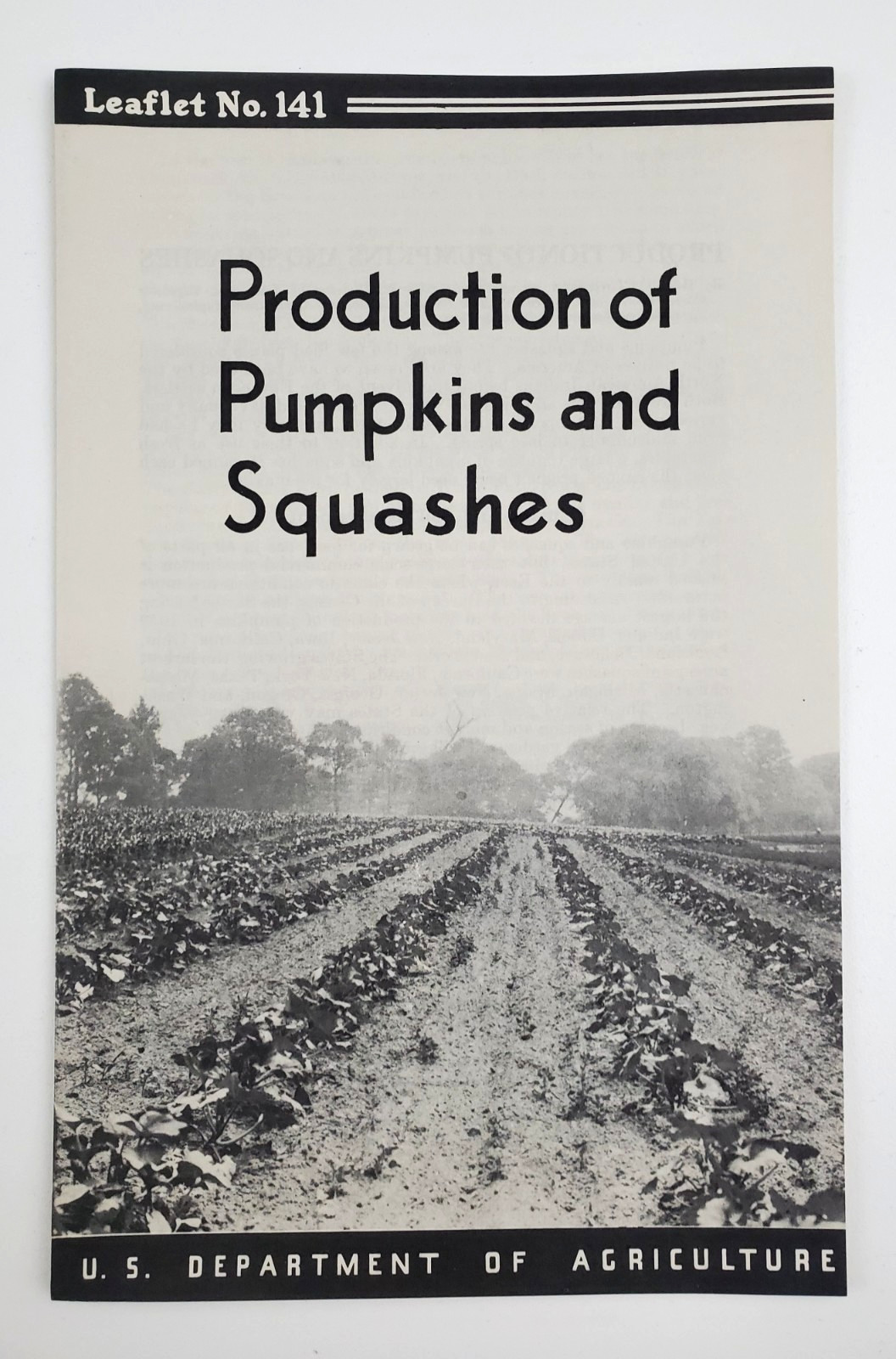 1938 Pumpkins & Squashes Production Vintage Farmer’s Leaflet No 141 1945 Print