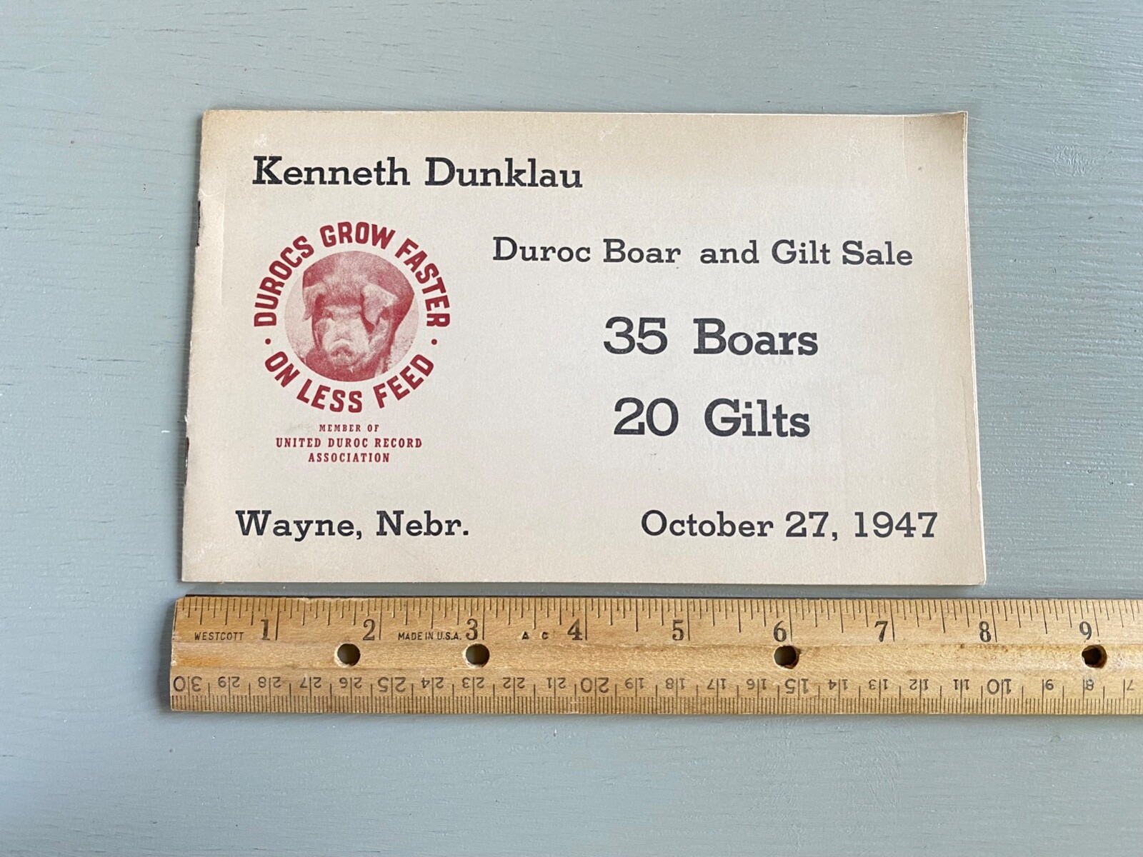 Vintage Durocs Boar Gilt Hogs Pigs Sale Catalog Book Wayne Nebraska 1947 Farm Ag