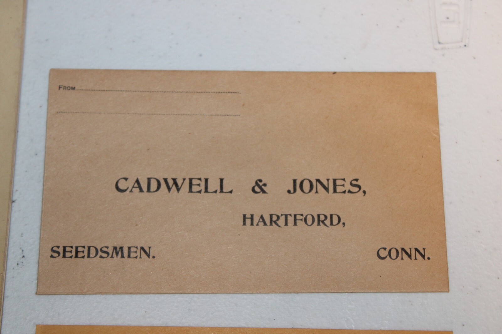 Vtg 1904 Advertising Catalog Caldwell & Jones Seeds & Agricultural Implements