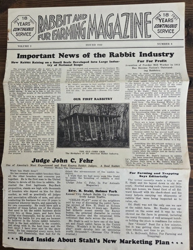 1932 Rabbit and Fur Farming Magazine Vol 2 Number 6 Homestead Husbandry