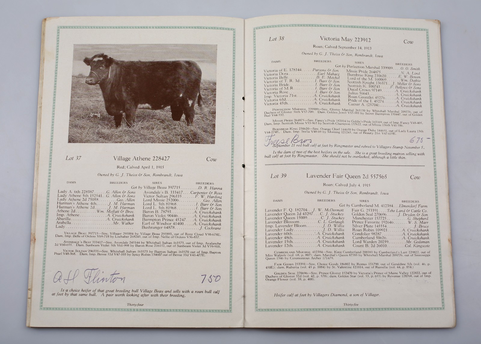 Vintage 1918 Paramount Shorthorns Livestock Sale Catalog Rembrandt Iowa