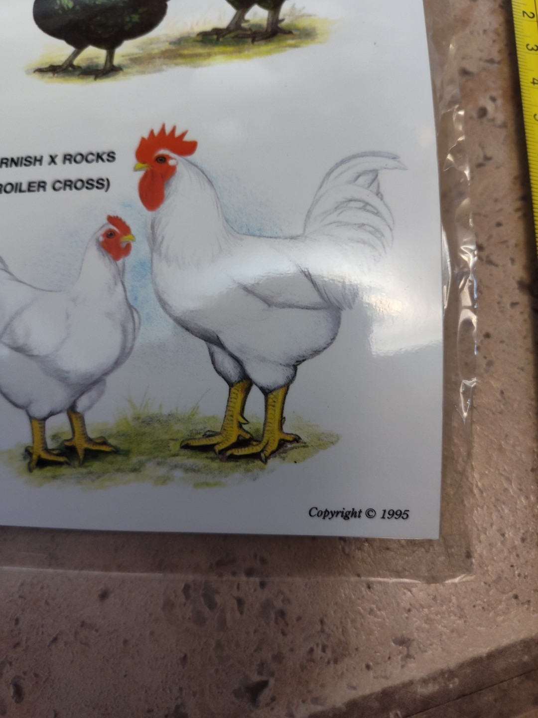 Vintage Ideal Poultry Breeding Farms Selection Chart Poster Sign Bantams 1990