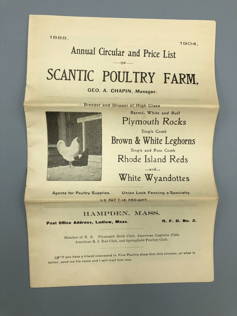 1904 Scantic POULTRY FARM Leghorns CHICKEN RI Red Antique Advertising HAMPDEN MA