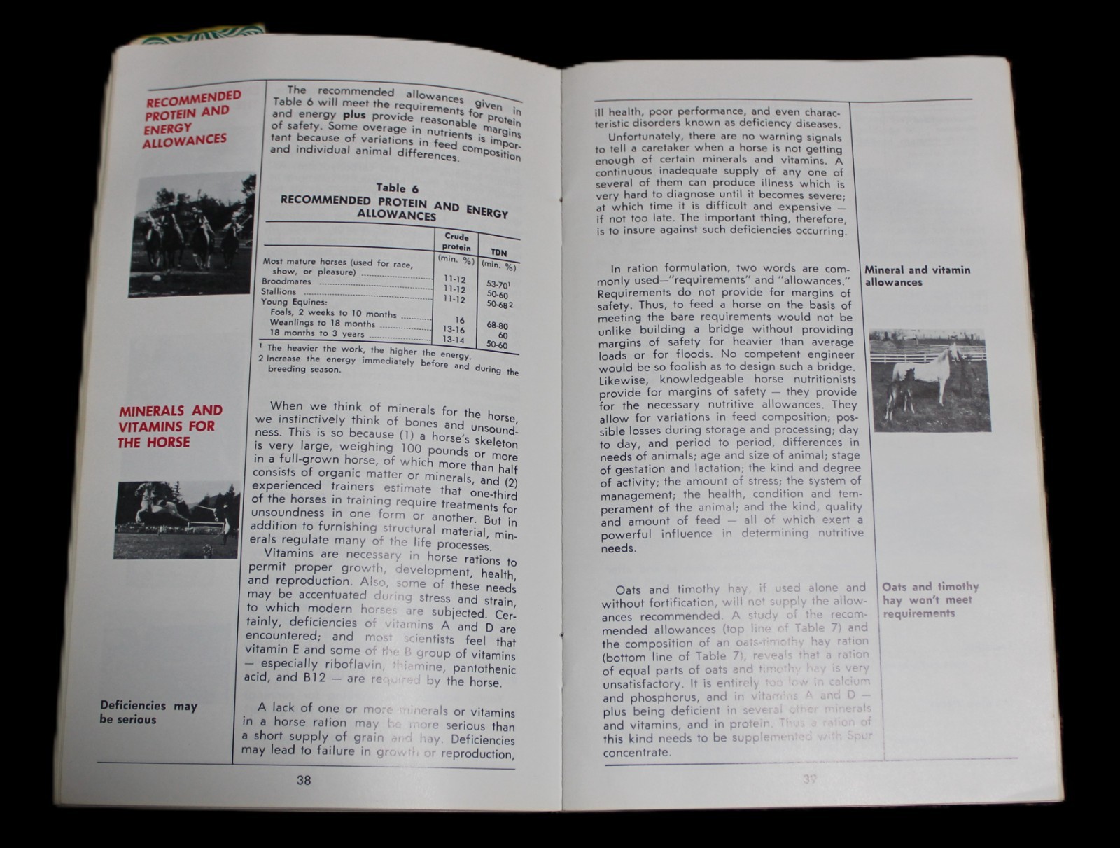 CARNATION COMPANY LIVESTOCK HORSES MANAGEMENT PROGRAM BOOKLET VINTAGE