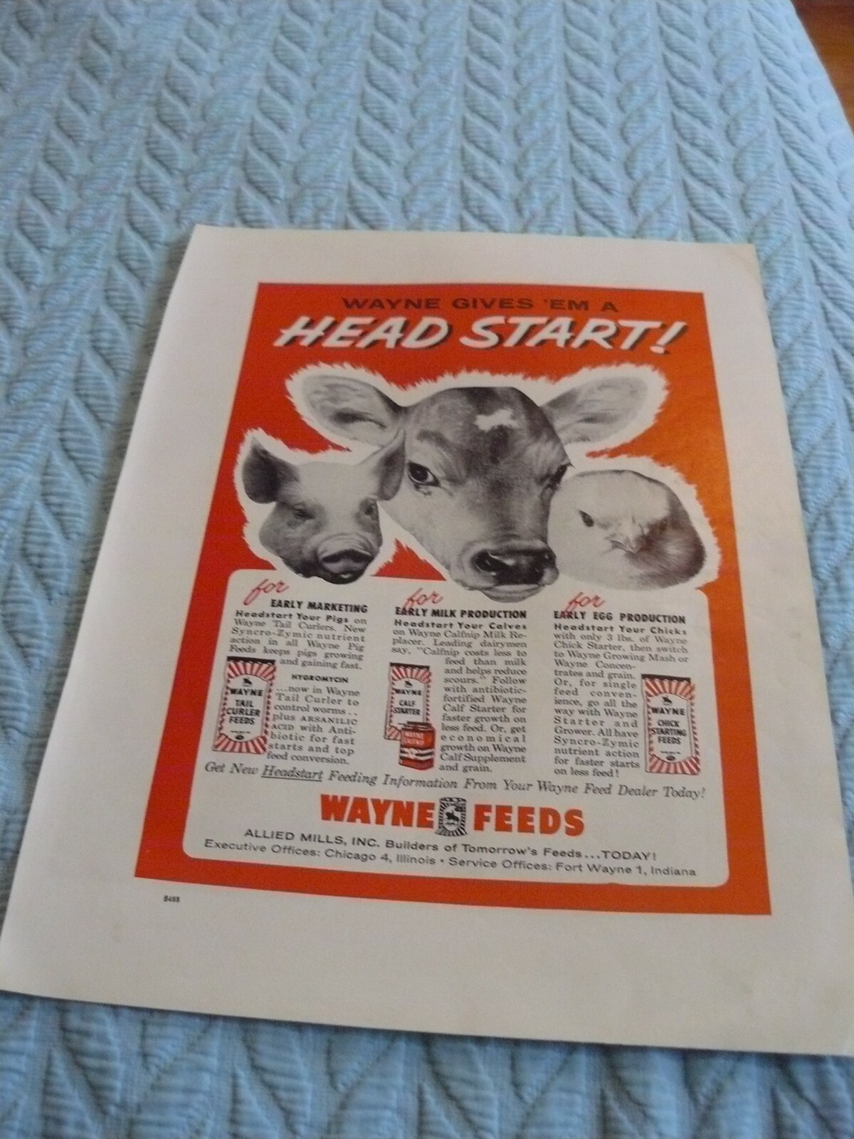 THE FARM -AD- Spring1958 – WAYNE FEEDS – Calf (big head image)/ pig/ chick COLOR
