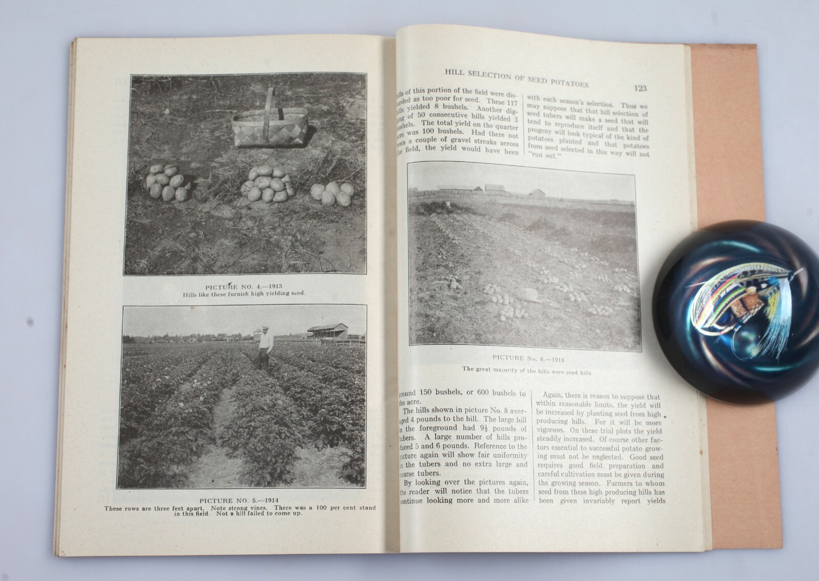Vintage 1916 Wisconsin Farmer’s Institutes Bulletin Handbook of Agriculture