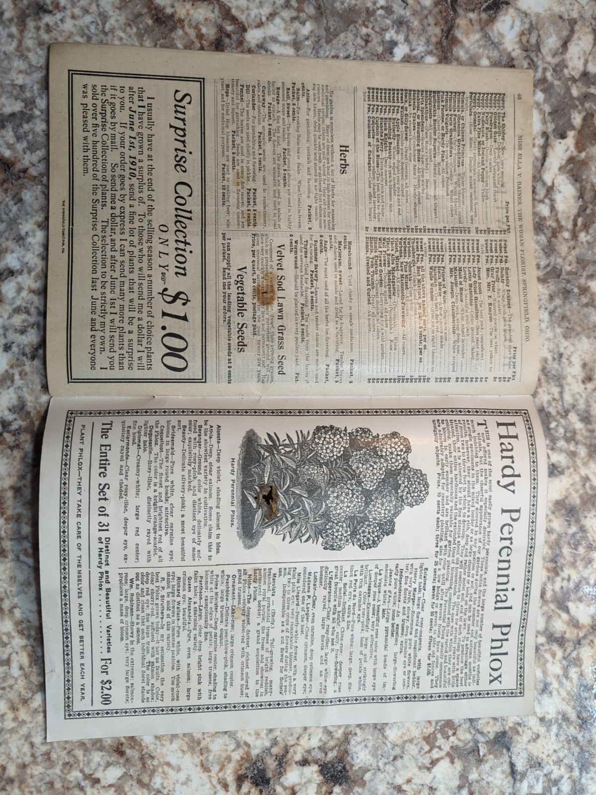 1910 The Woman Florist, Miss Ella V Baines Spring Illustrated Catalogue