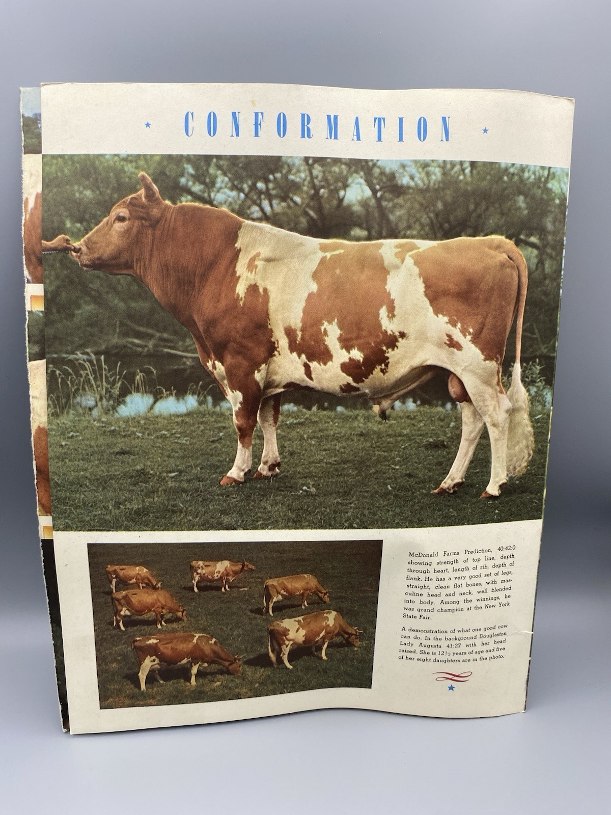 American Guernsey Cattle Club Booklet “Creating a Standard of Excellence”