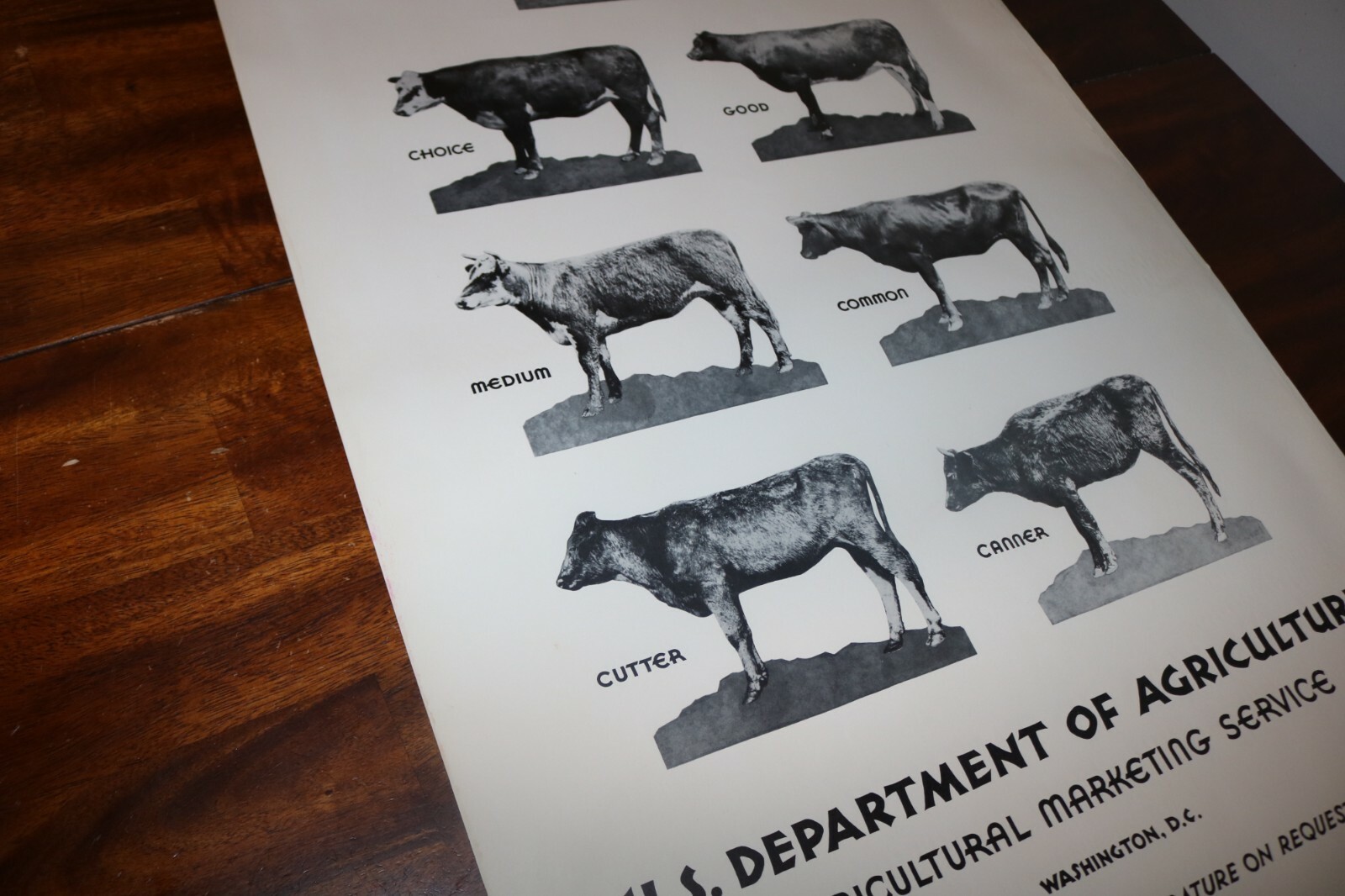 RARE new old stock orig 1940 Large USDA Heifer slaughter grade poster chart sign