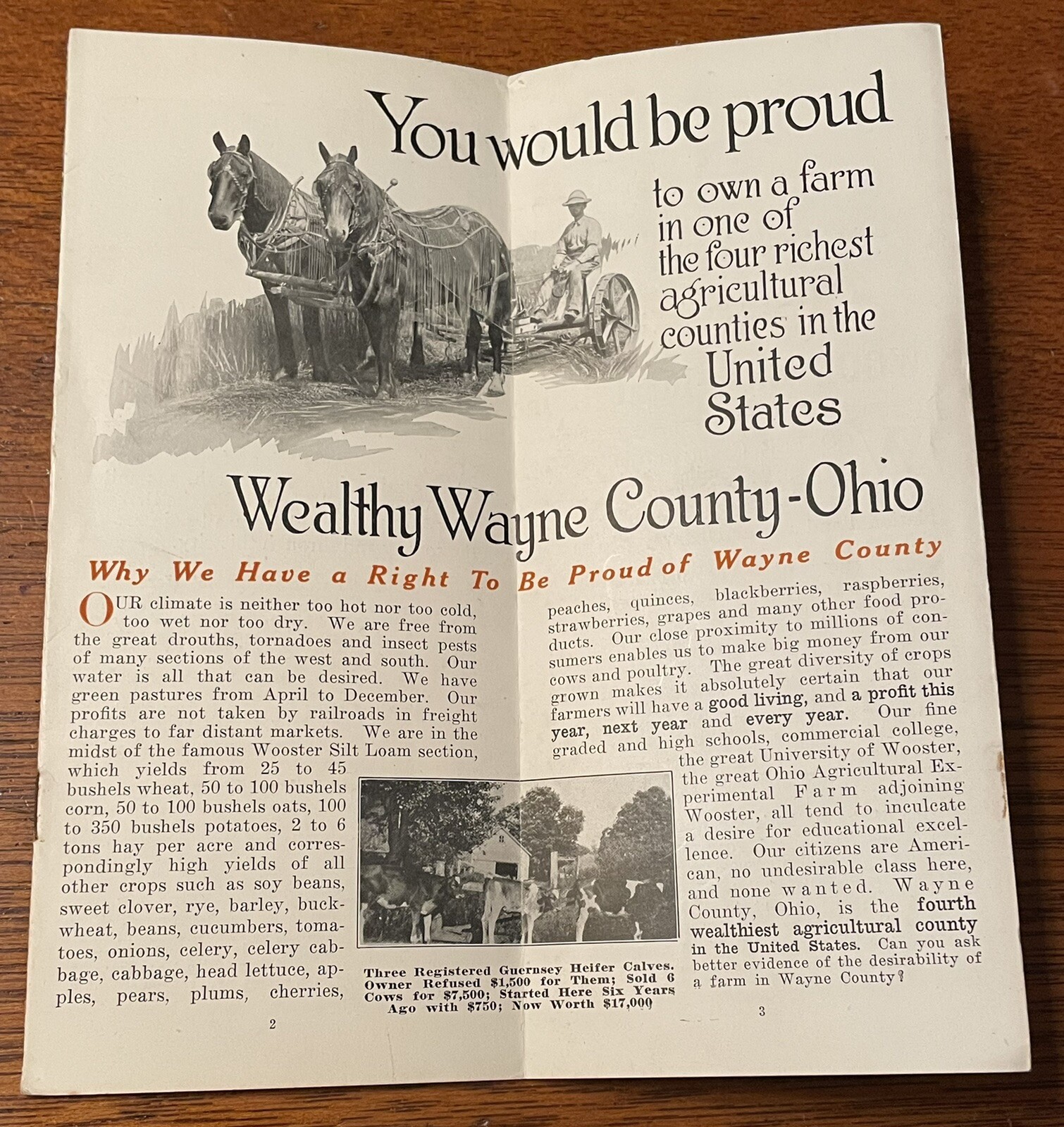 Antique Brochure Wooster Wayne County Ohio JC McIntire For EA Strout Farm Agency