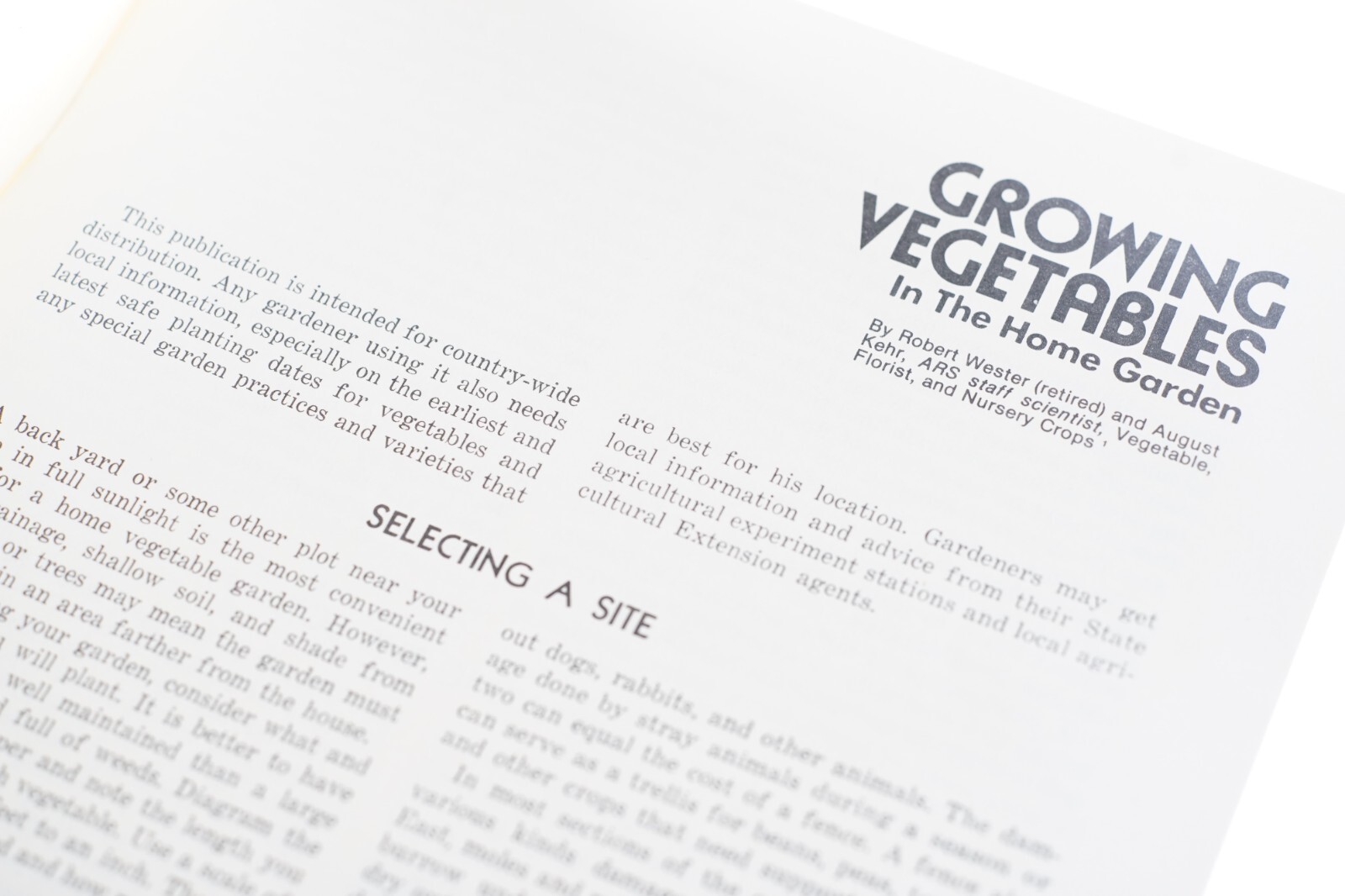 1980 U.S. Department of Agriculture Growing Vegetables Agricultural Brochure 202
