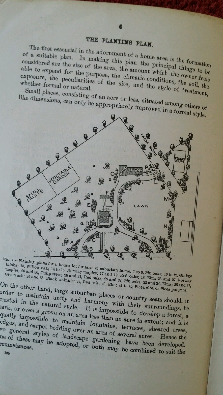 U.S. Department of Ag Vintage 1904 Farmers’ Bulletin #185 Beautify Home Grounds