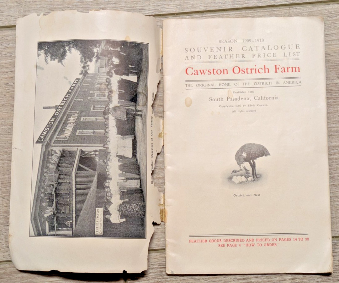 1909-1910 Cawston Ostrich Farm Feather Catalogue South Pasadena CA W/Photos