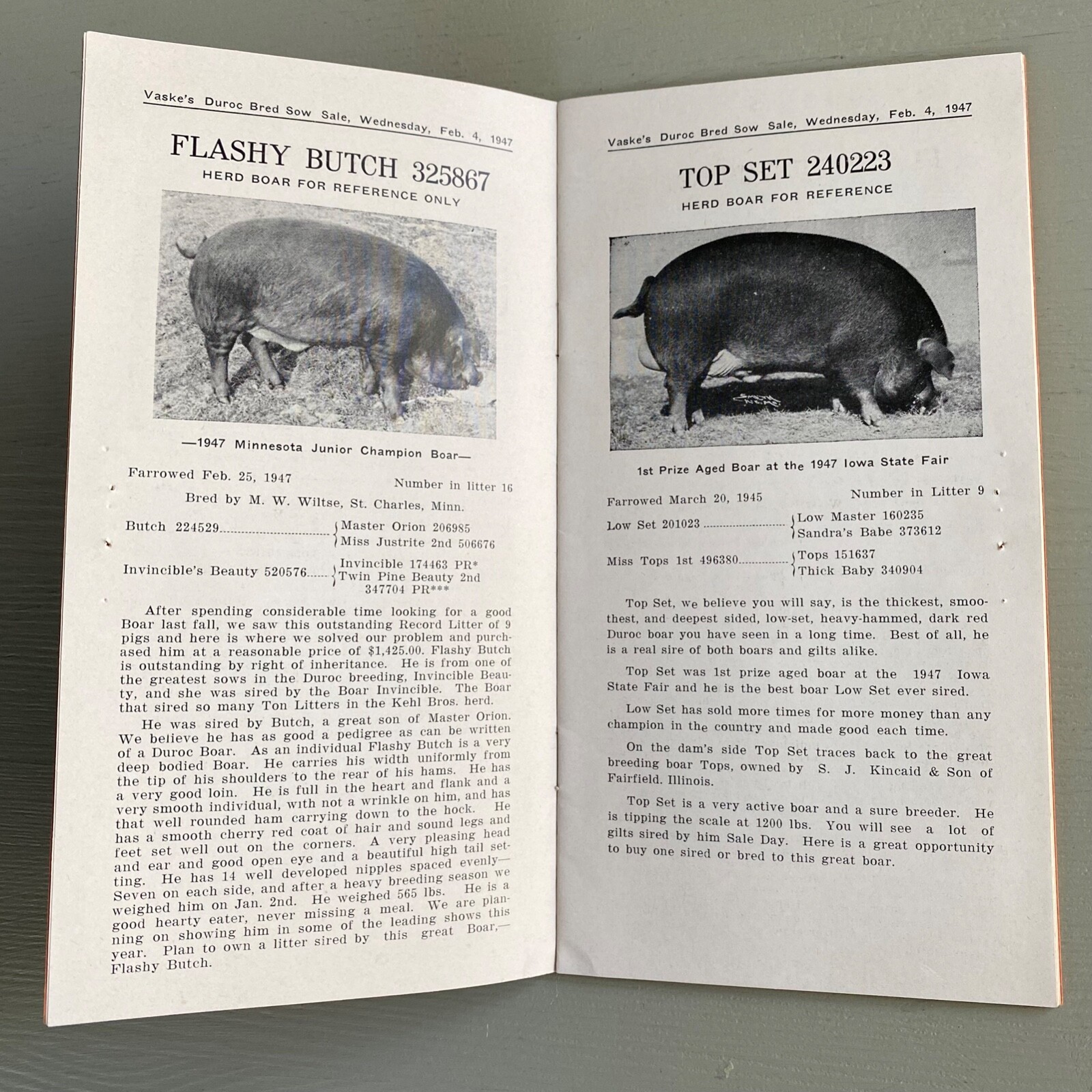 Vintage Duroc Bred Sow Hogs Pigs Sale Catalog Book Dyersville Iowa 1948 Farm Ag