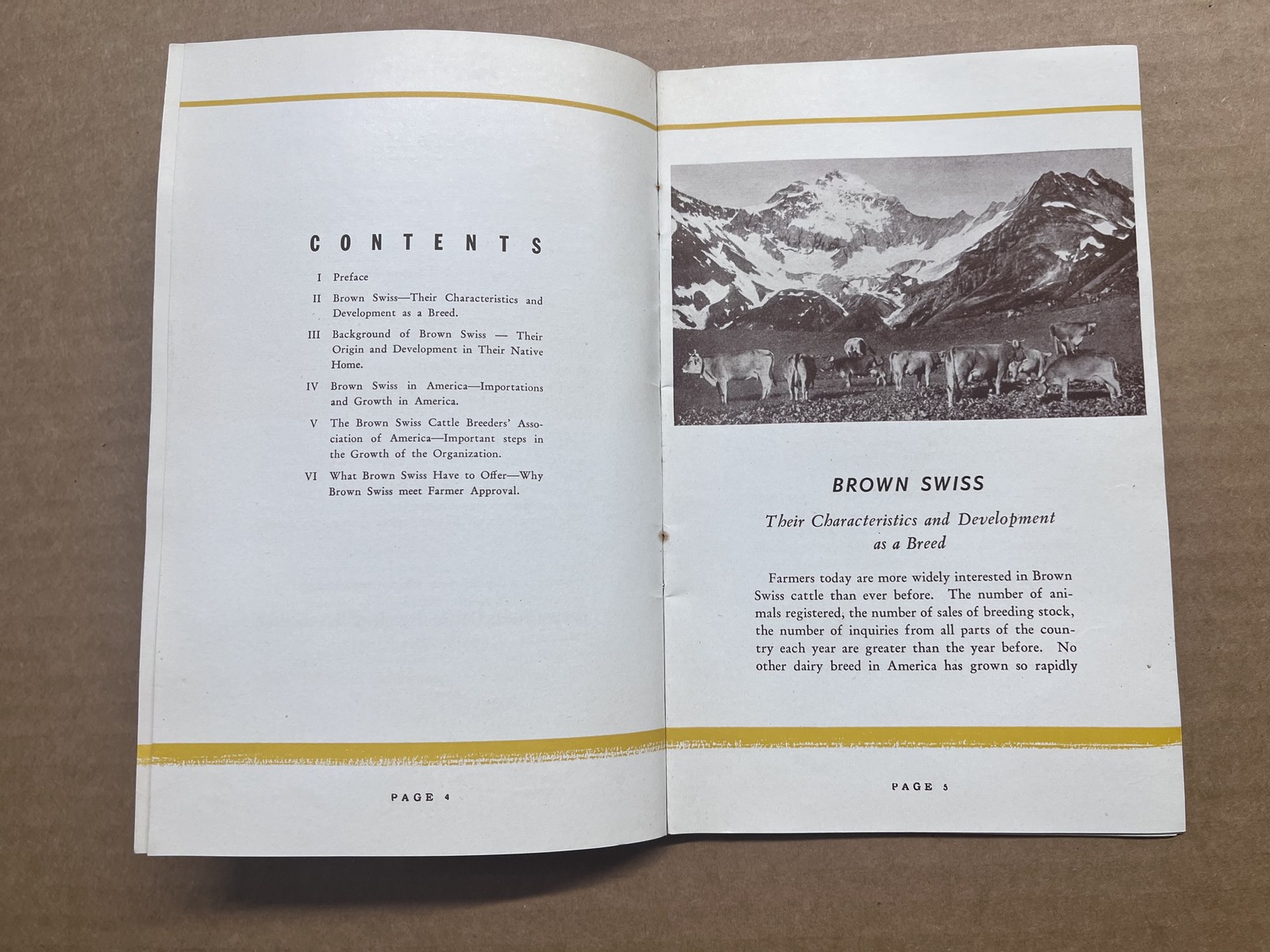 1942 Brown Swiss Cattle Breeders Association Farmer’s Cow Booklet Dairy Vintage