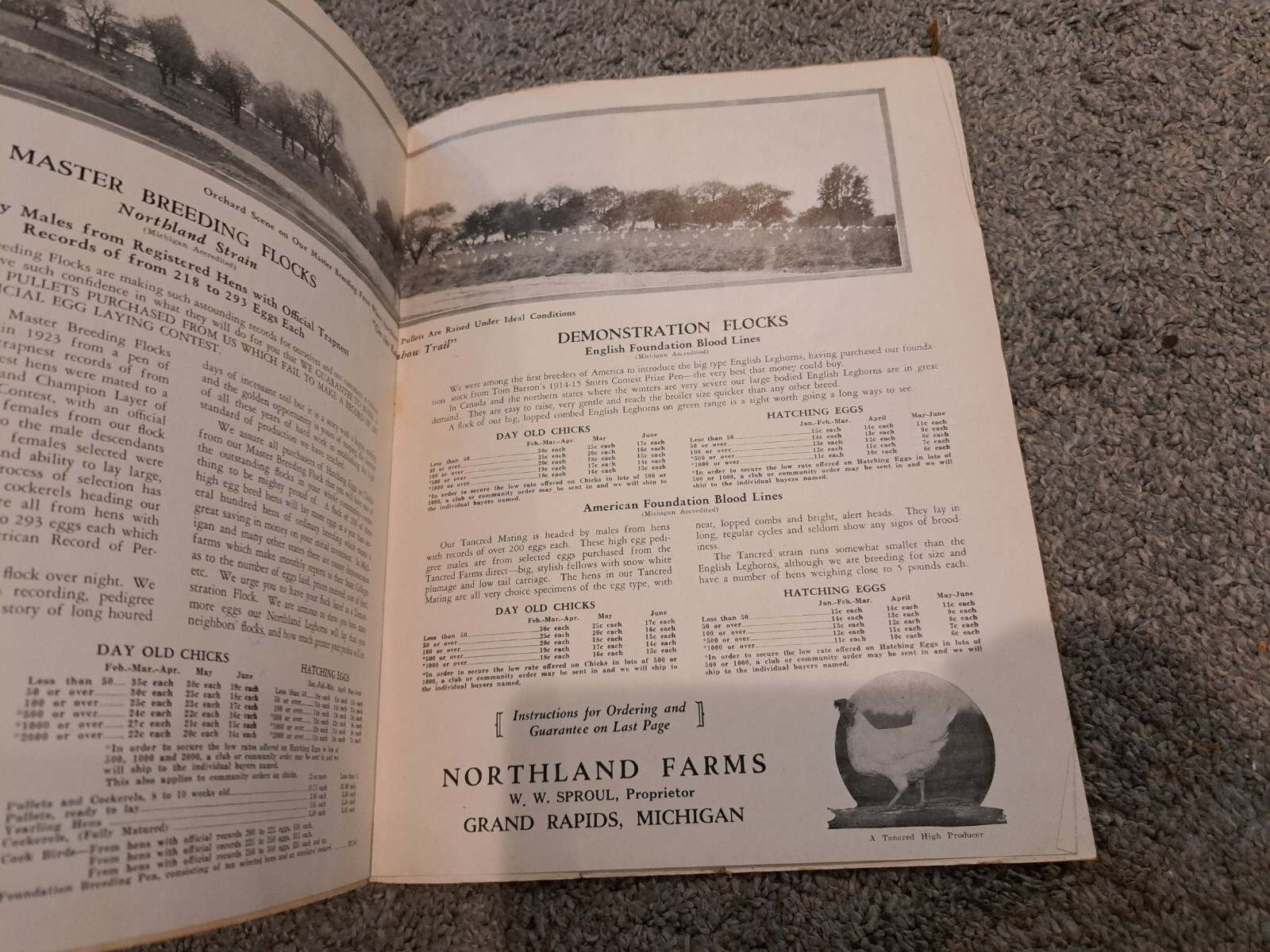 1928 Northland Winter Layers Poultry Catalog Chickens