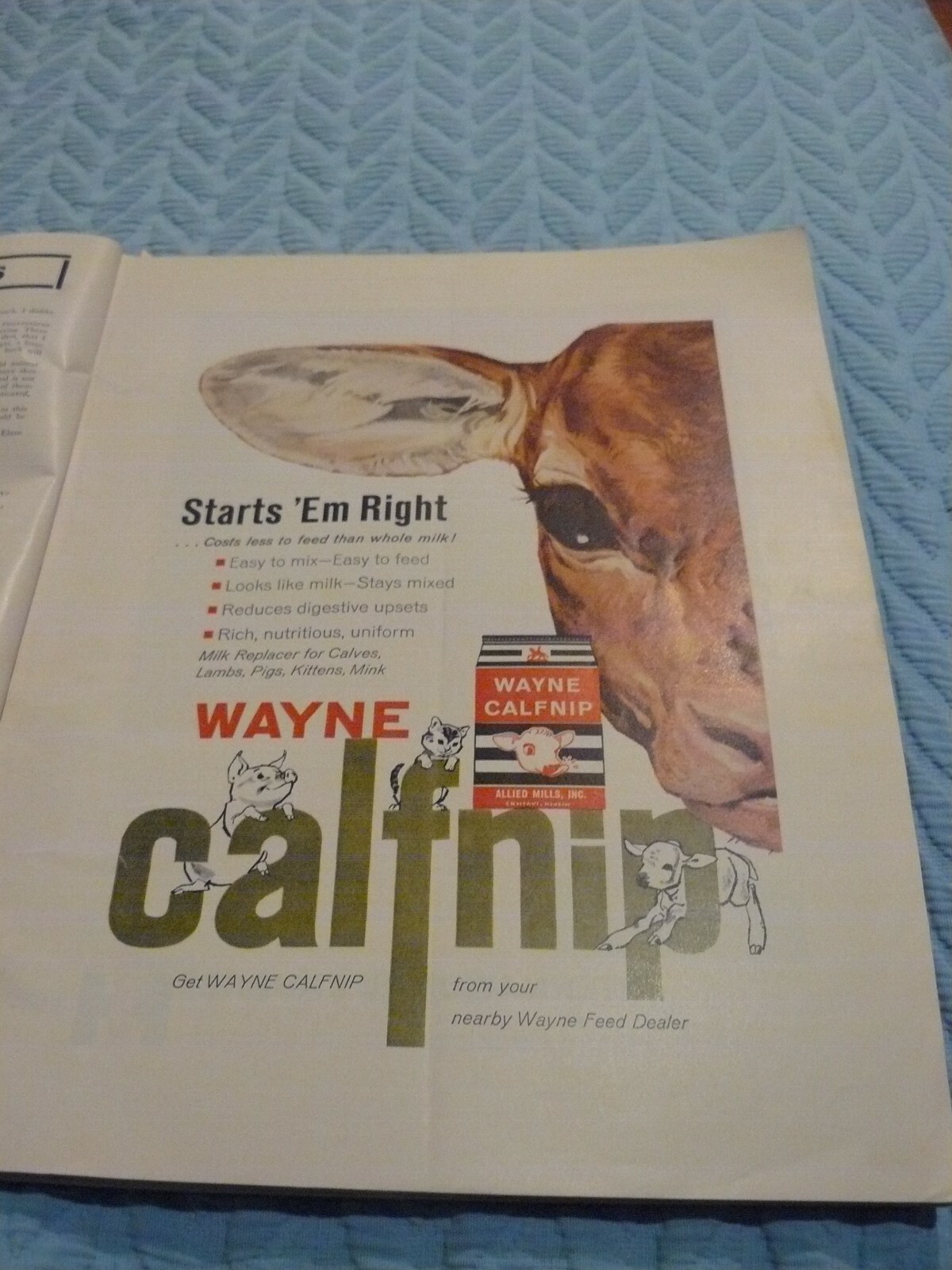 THE FARM QUARTERLY- AUTUMN 1960 -AD- ALLIED MILLS – WAYNE FEED CALFNIP CALF
