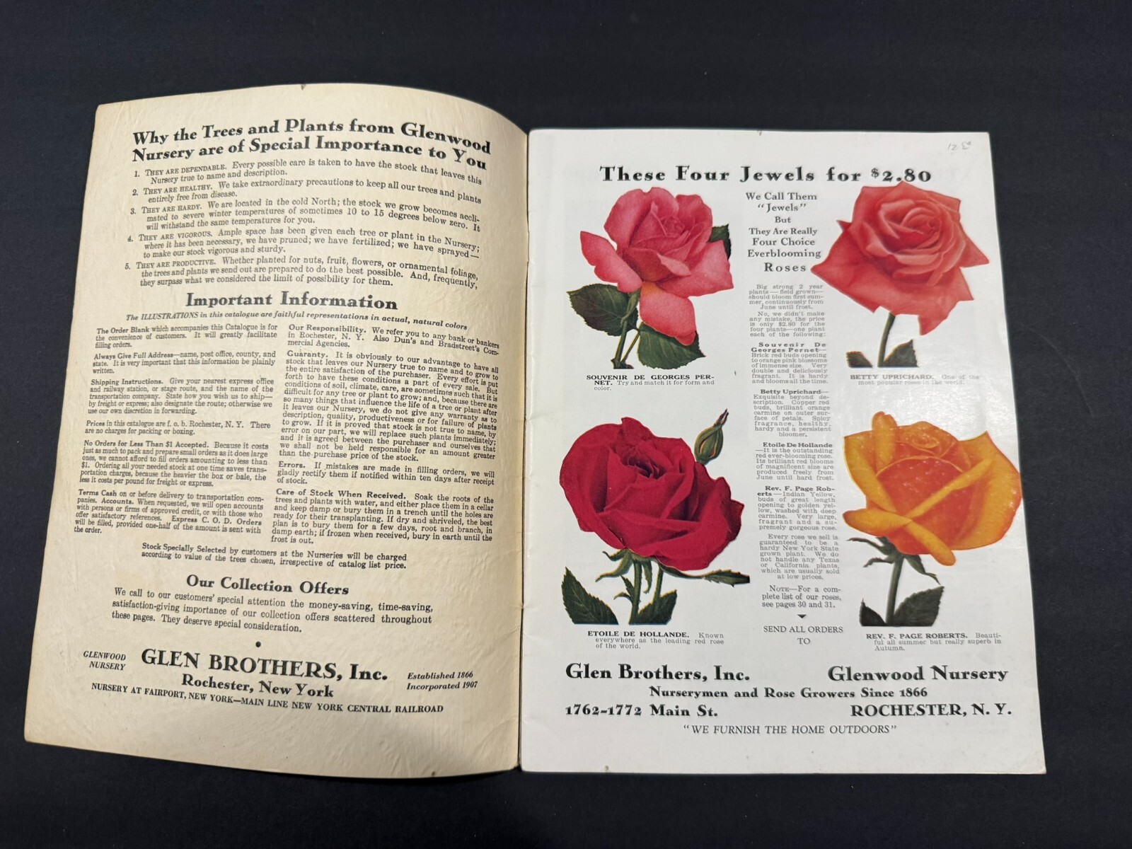 1930’s Glen Brothers & HB Burdick’s Fruit, Flowers, Seed Brochures…..2 Items