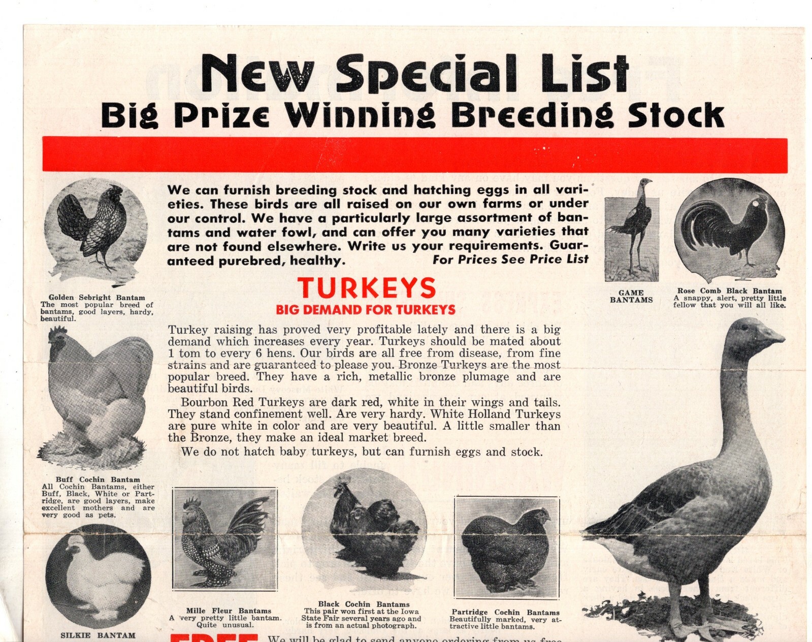 McMURRAY HATCHERY Ducks BANTAM Turkey 1940’s Catalog Brochure Webster City IA