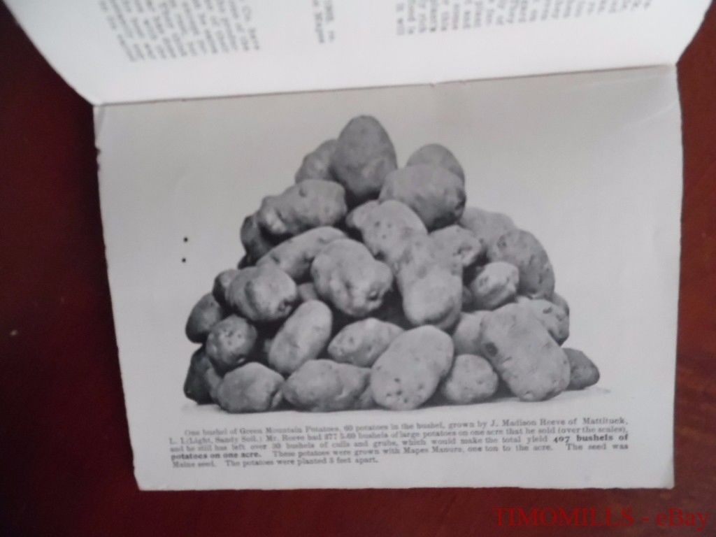 1903 Mapes Peruvian Guano Fertilizer Vegetable Market Garden Catalog Brochure