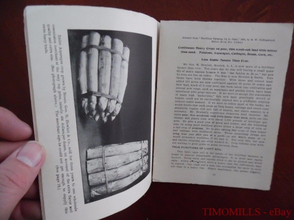 1903 Mapes Peruvian Guano Fertilizer Vegetable Market Garden Catalog Brochure