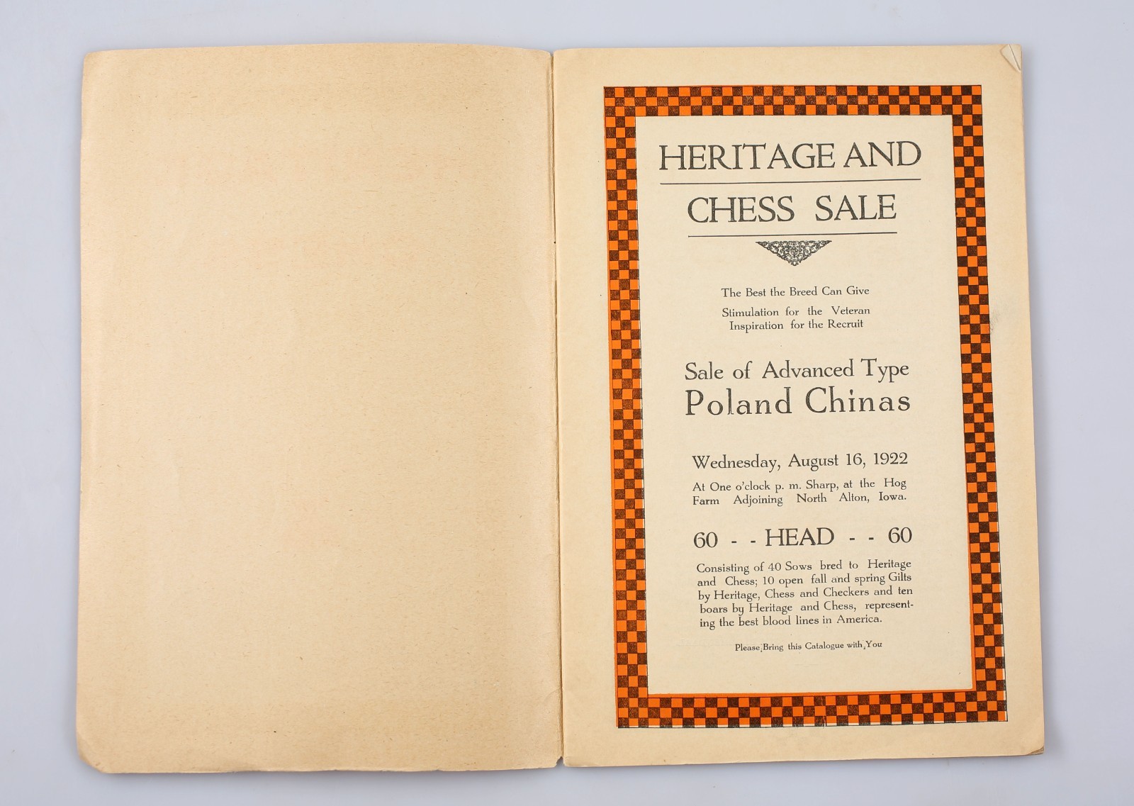 Vintage 1922 Heritage and Chess Poland China’s Sow Hog Sale Program Alton Iowa