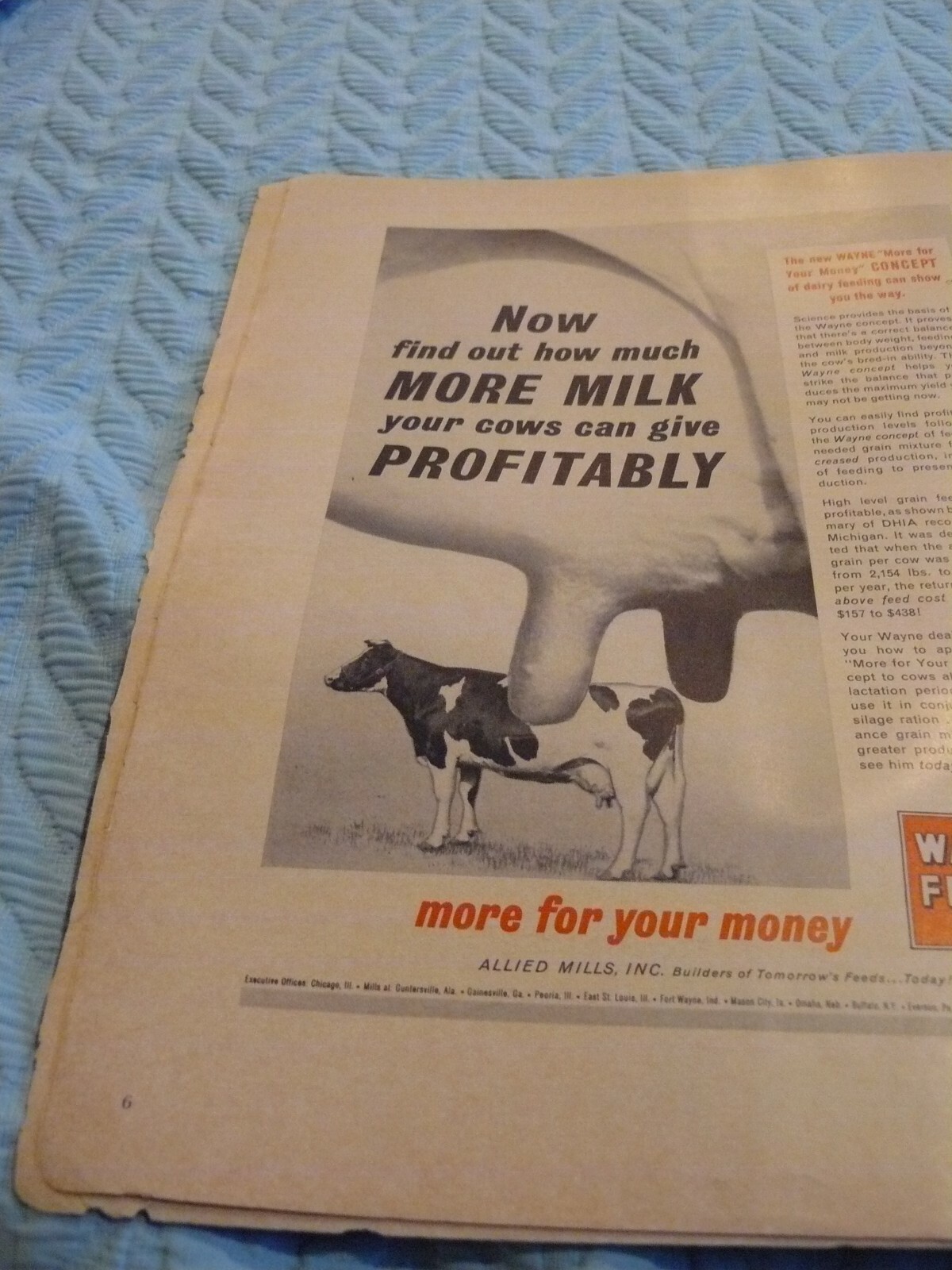 THE FARM -AD- SPRING 1962 – WAYNE FEEDS – COW + UTTER – More Profitable COLOR