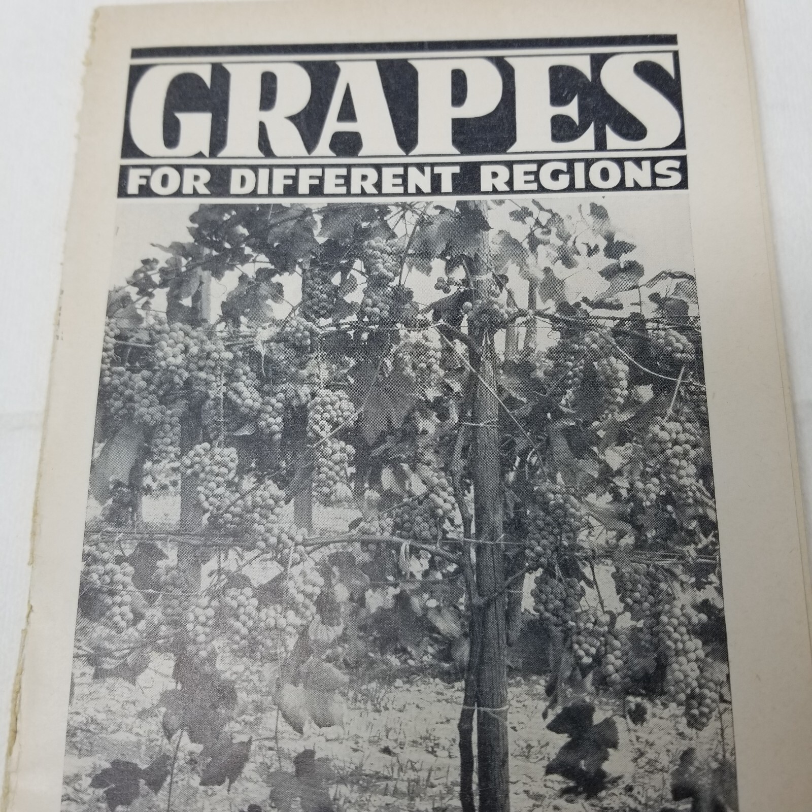 Grapes for Different Regions 1943 Farmers’ Bulletin Booklet 1936 USDA Photos