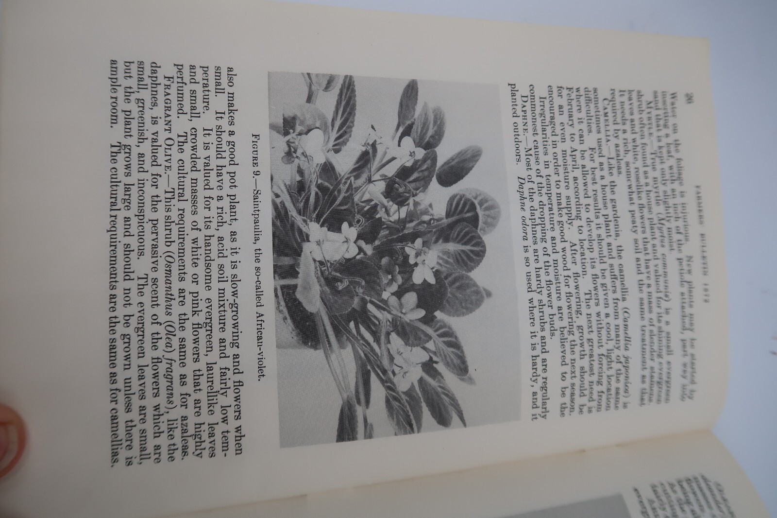 1941 USDA Farmers’ Bulletin No. 1872 House Plants Ephemera Furman Lloyd Mulford
