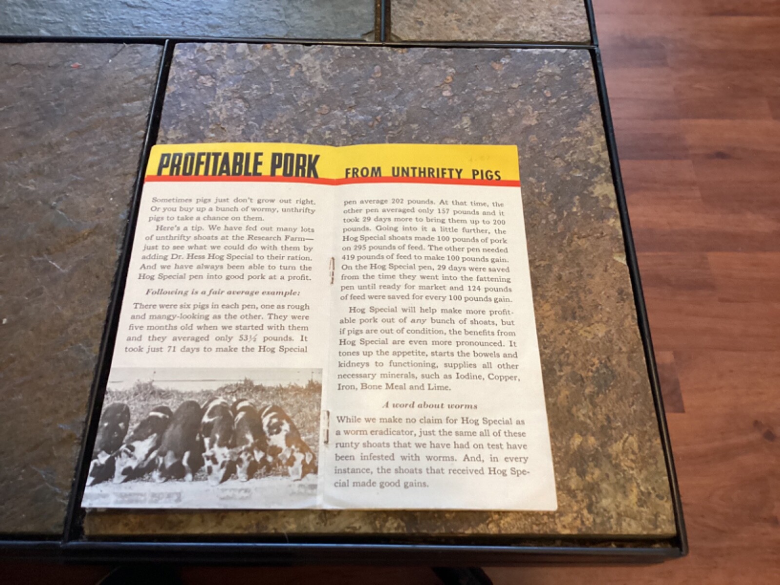 Dr. Hess & Clark, Ashland, Ohio “Profitable Pork” Booklet