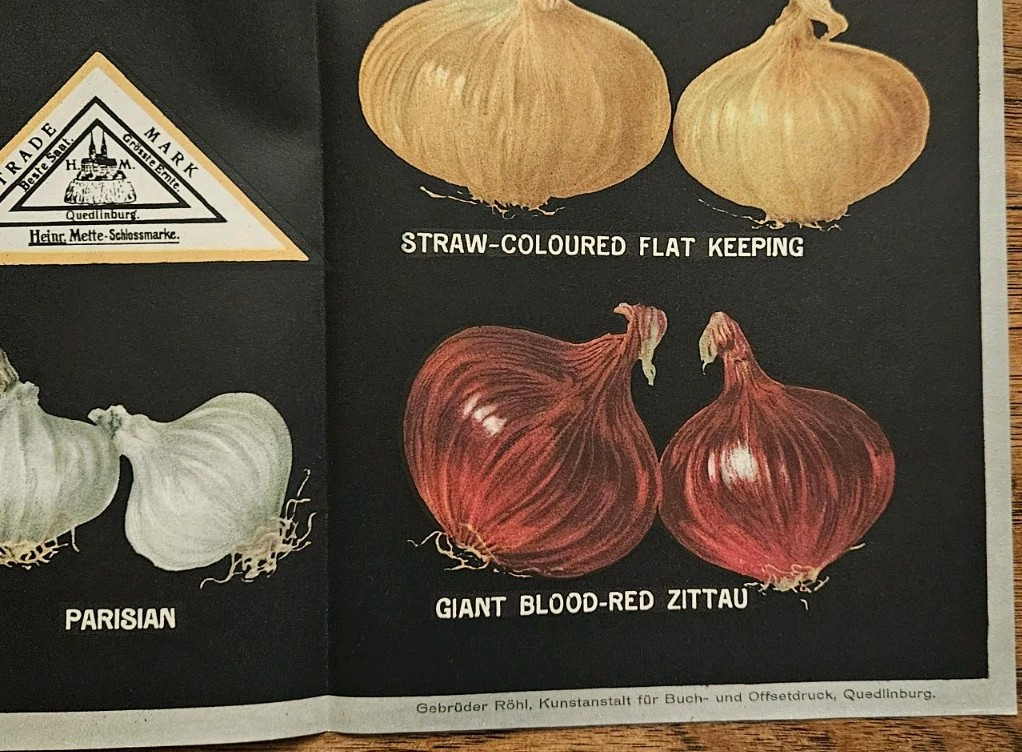 1900’s to 1930’s 27 Heirloom Onion Seed Grower Heinrich Mette Poster 27″ x 20″