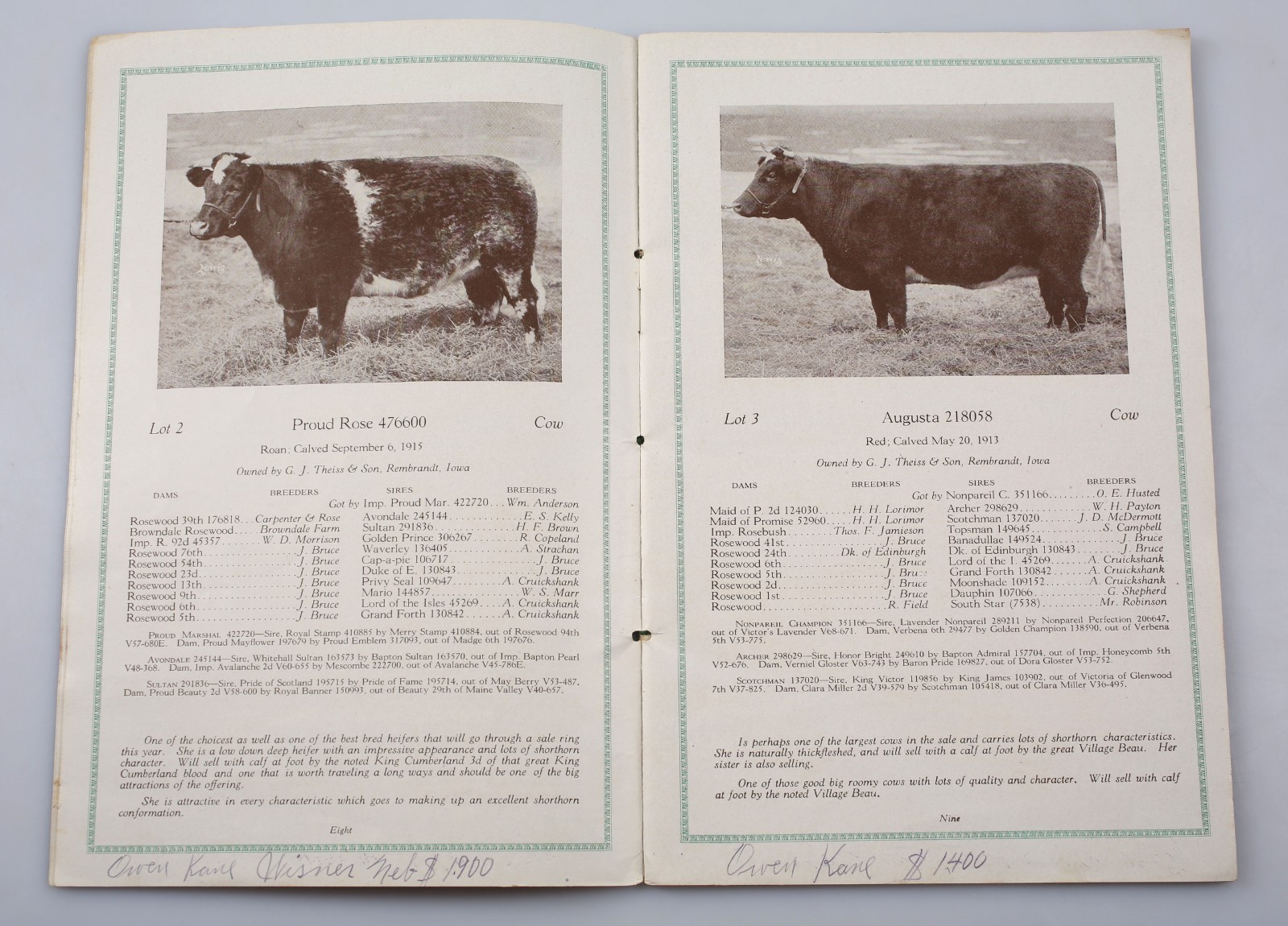 Vintage 1918 Paramount Shorthorns Livestock Sale Catalog Rembrandt Iowa