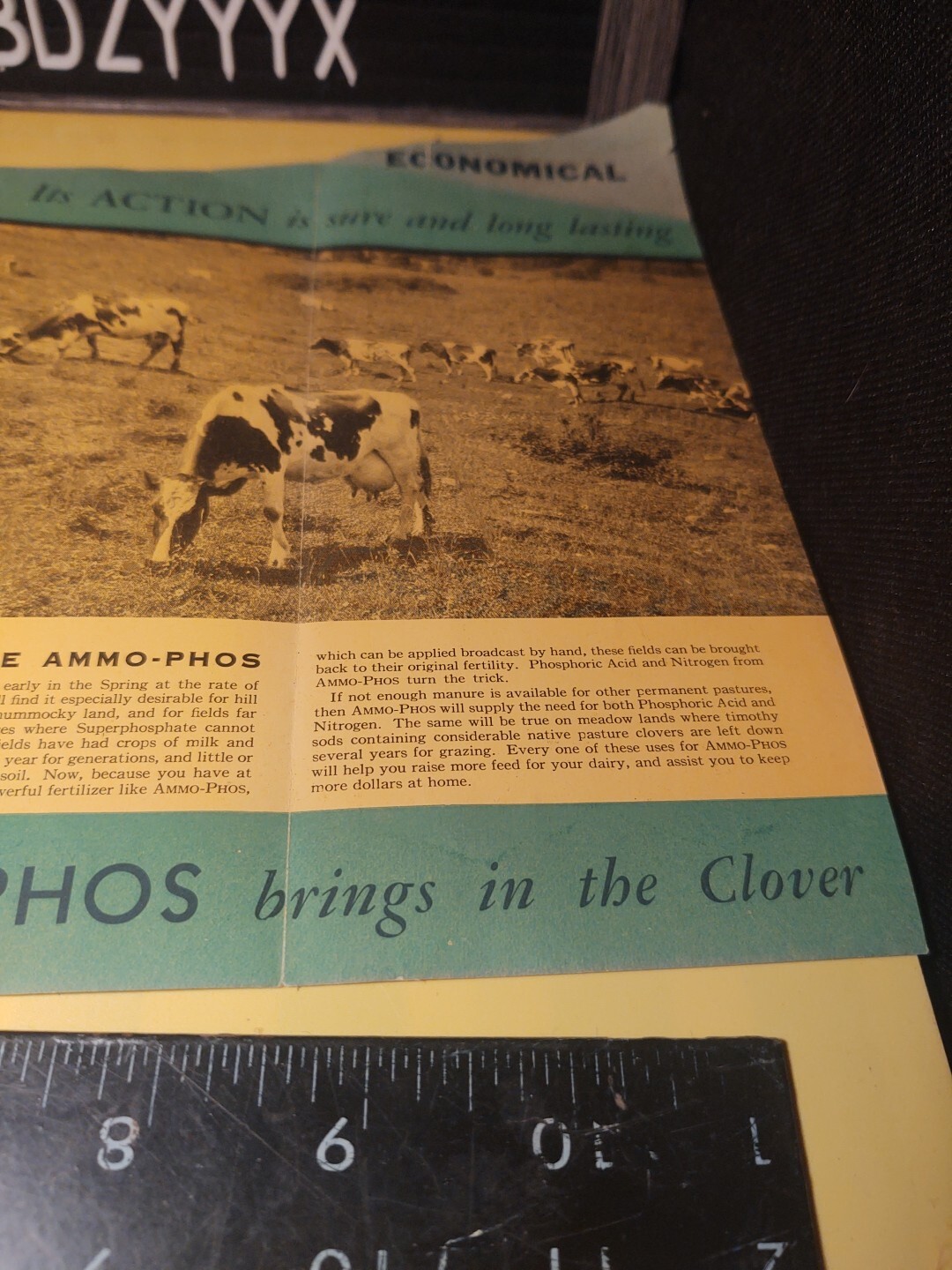 VTG Ammo-phos AMERICAN CYANAMID NYC Fertilizer Dairy Farming Print ADVERTISING
