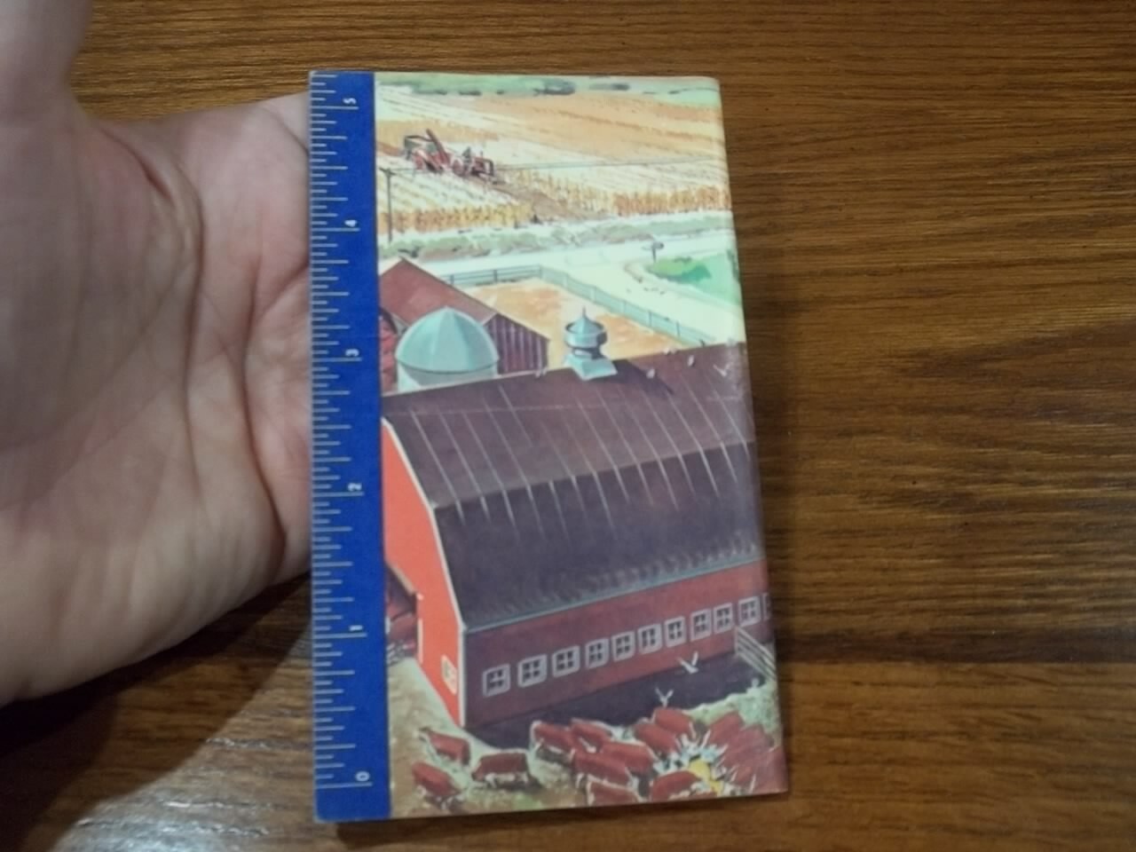 1955 Swift’s Red Steer Memo Book & Growth Meter Agriculture Farm Animals