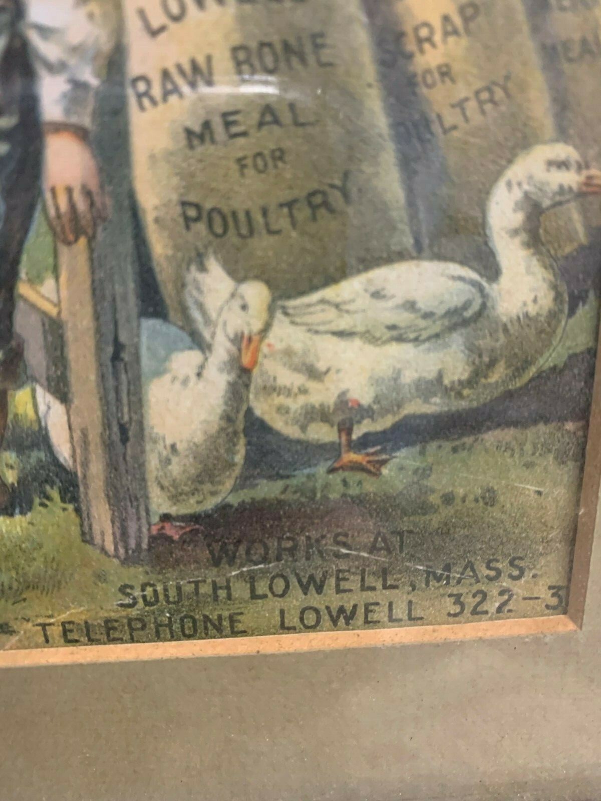 Rare Vintage Lowell Fertilizer Co. Litho Framed Sign FARM GAS OIL SODA COLA 17″