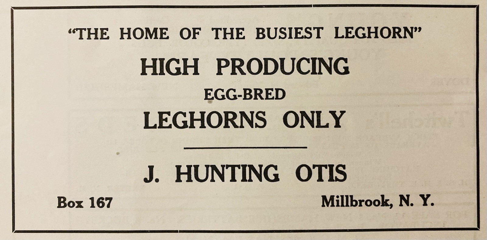 1934 AD.(XH82)~J. HUNTING OTIS FARM, MILLBROOK, NY. HIGH PRODUCING LEGHORNS