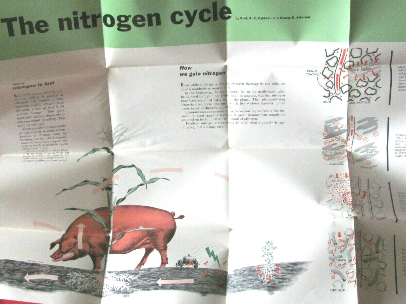 1955 FARM TEACHER POSTER CYCLE OF NITROGEN BY SUCCESSFUL FARMING MAGAZINE 40″