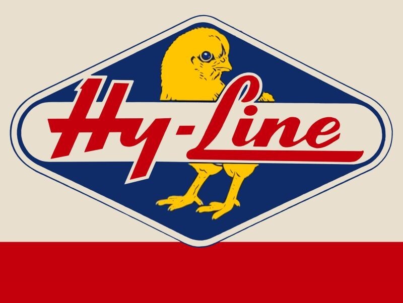 Hy-Line Chickens NEW METAL SIGN – 9 x 12″ with Free Shipping – Best Layers!