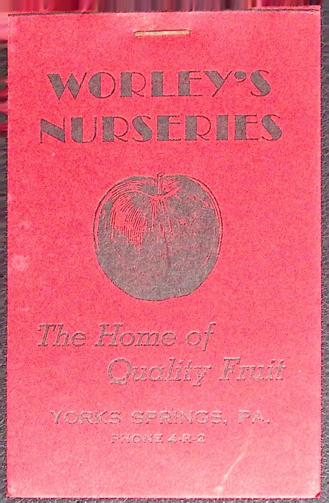 Vintage Worleys Nurseries York Springs PA Red Apple Special Tree Order Packet