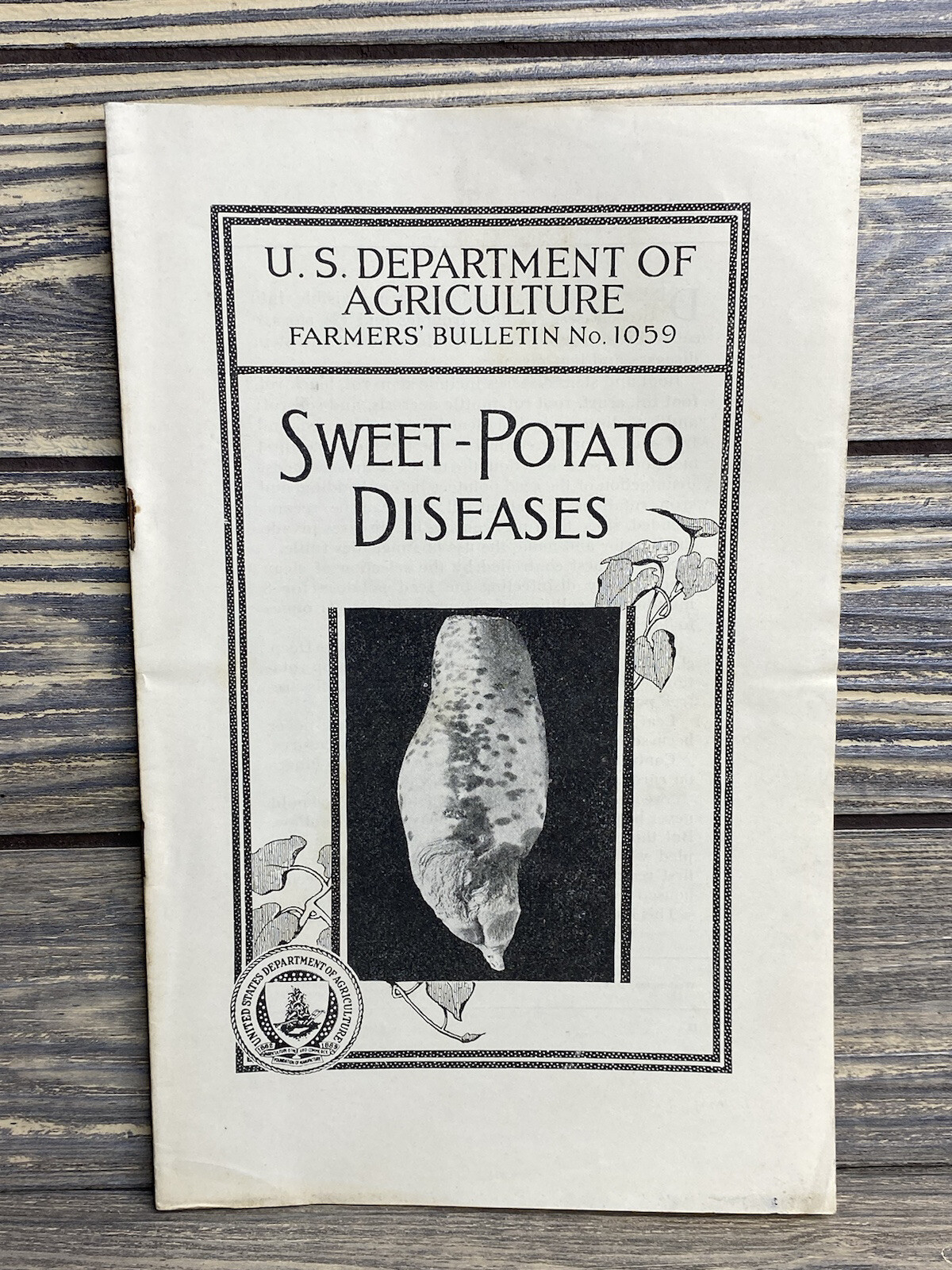 Vintage Farmers Bulletin US Dept of Agriculture No1059 Sweet Potato Disease 1928