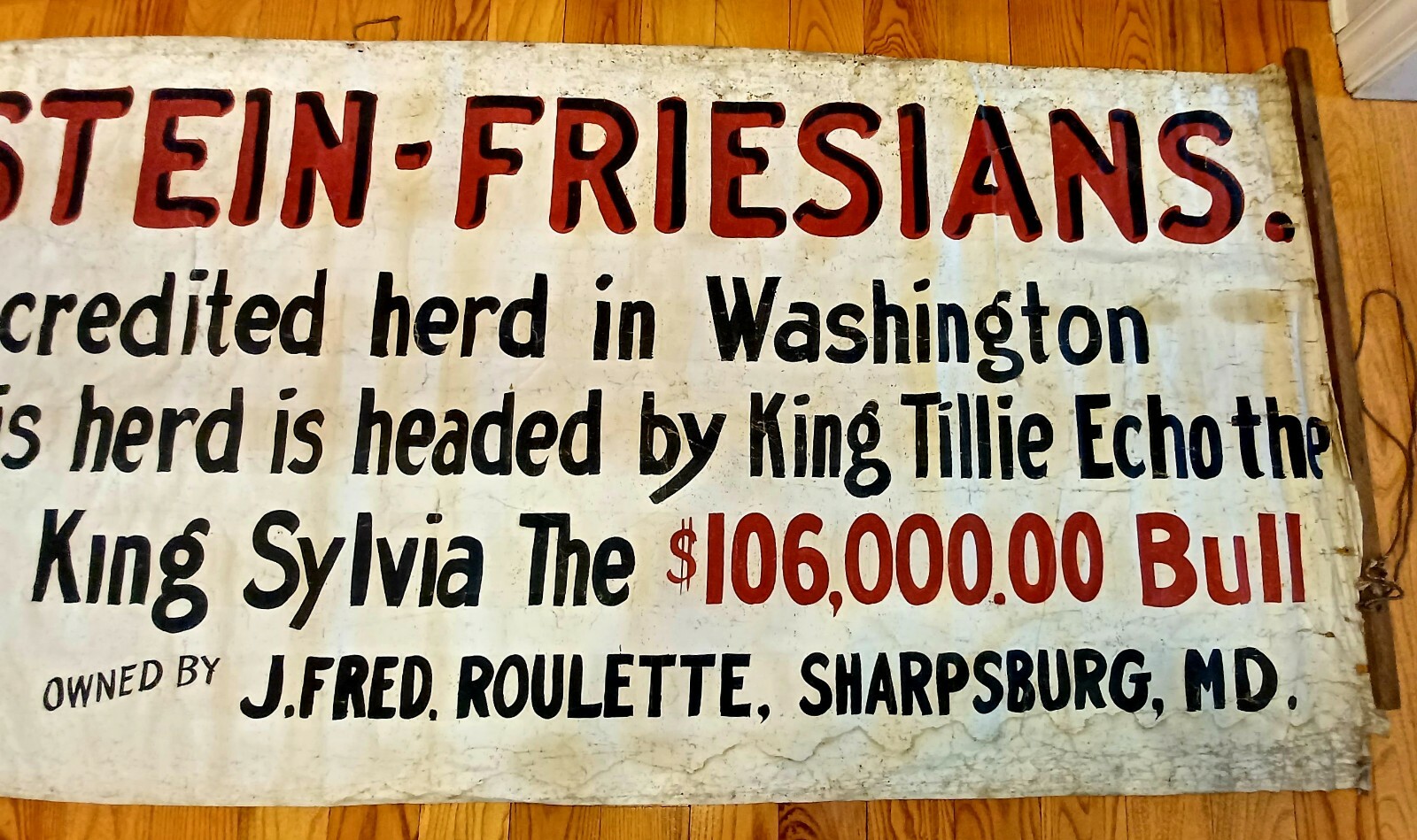 1920’s HISTORIC HOLSTEIN FRESIAN ADVERTISING FARM BANNER SIGN KING SYLVIA BULL
