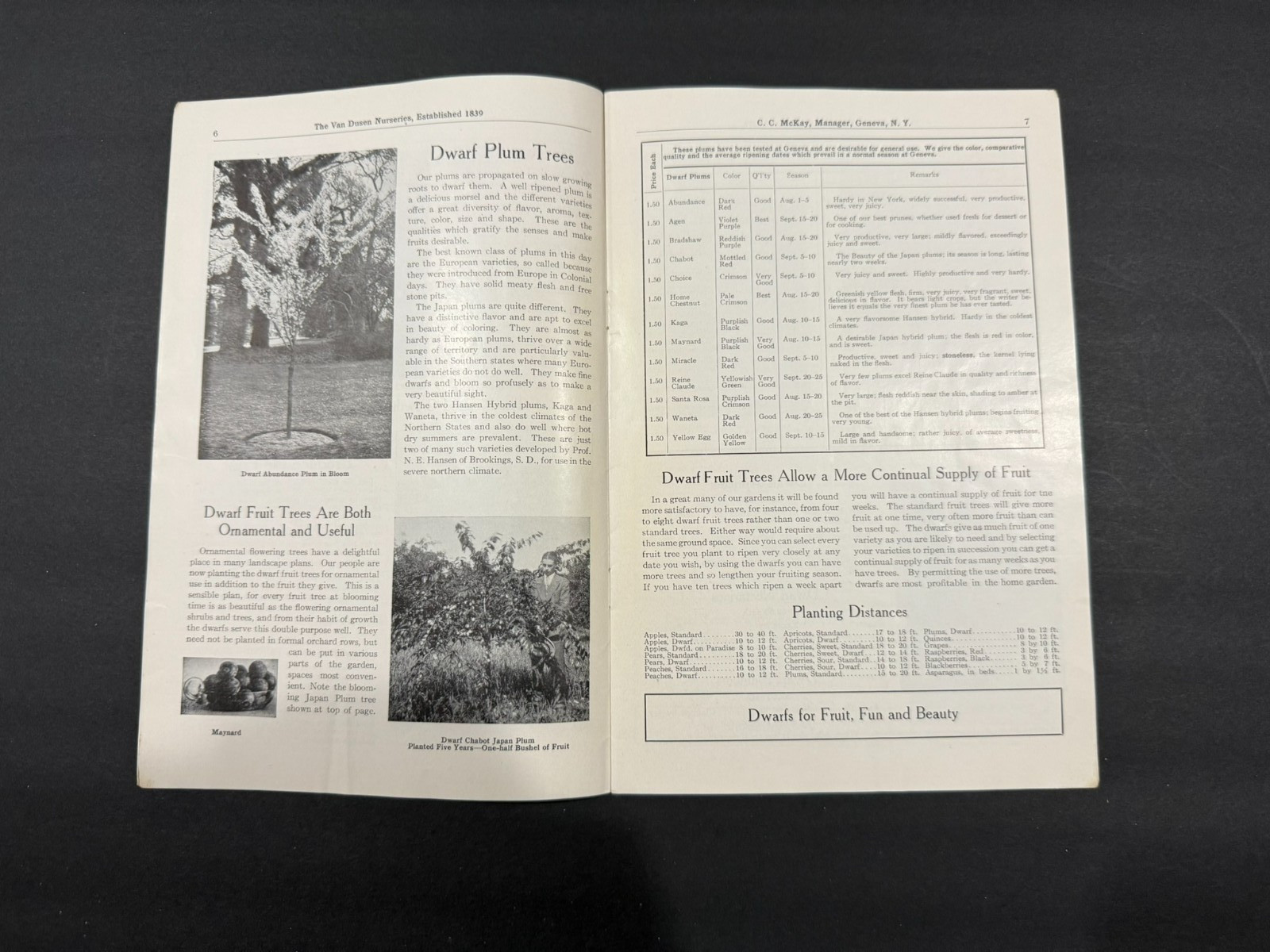 1930’s Evergreen, Van Dusen, Rosedale Nursery Brochures…..4 Items