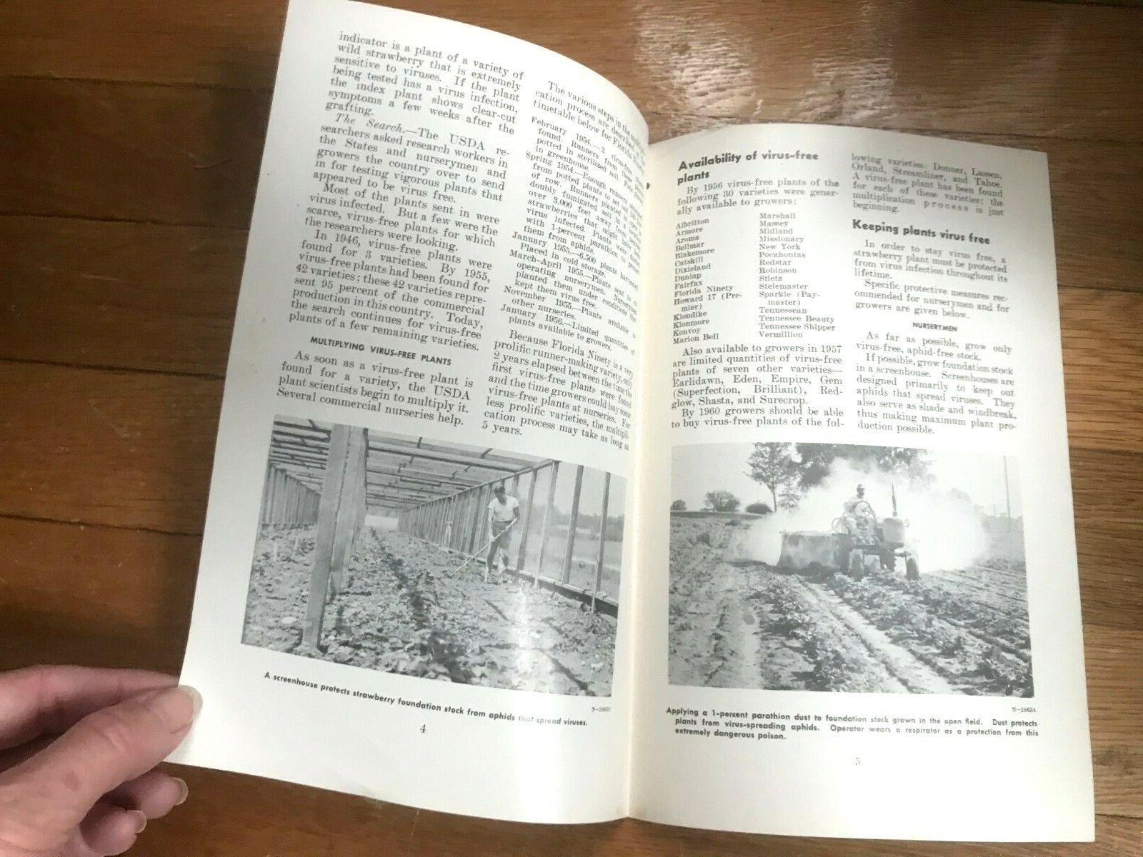 Vtg Reducing Virus & Nematode Damage US Dept of Agriculture 1950s Booklet A44