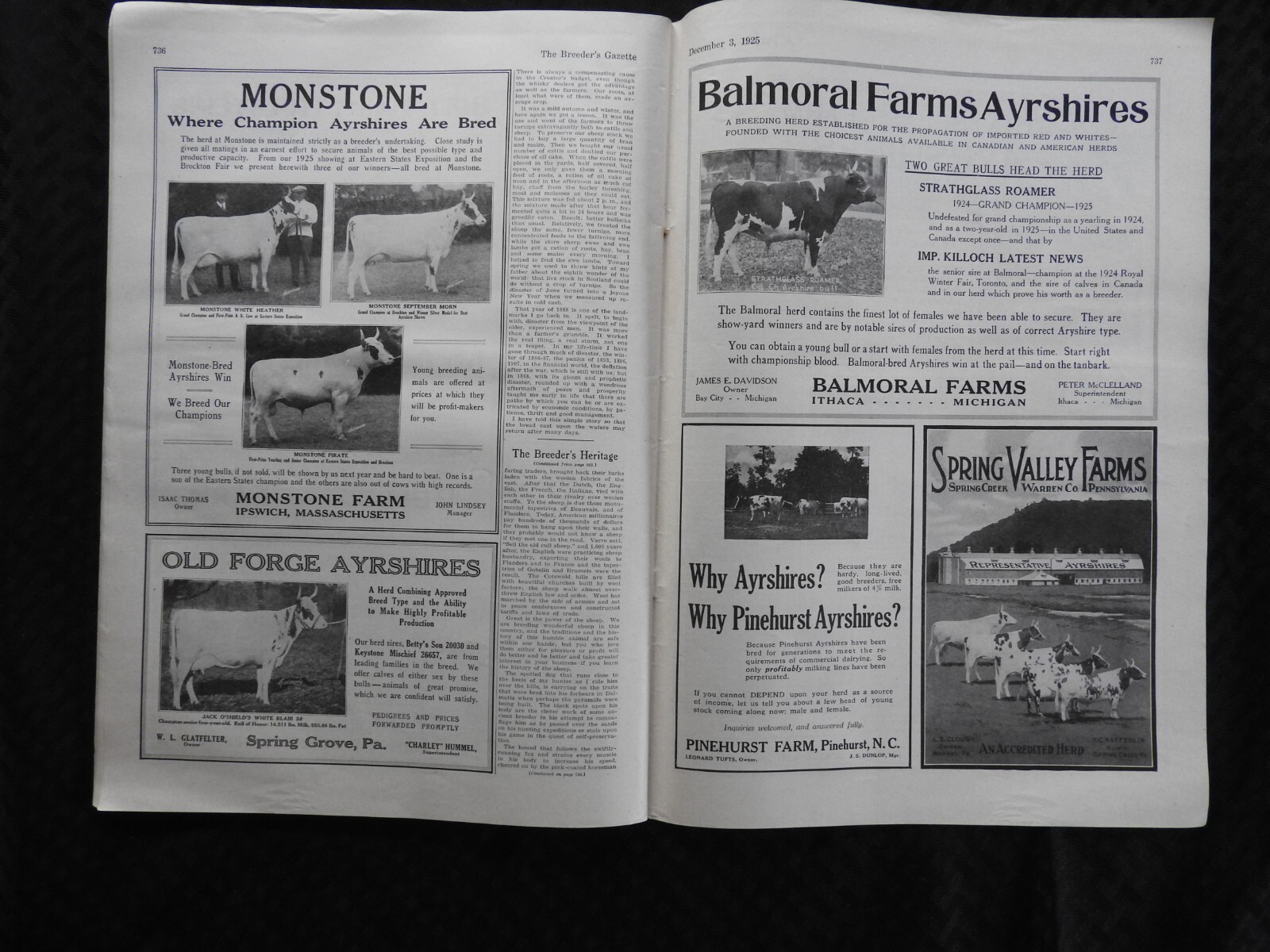 1925 Breeder’s Gazette Magazine – cattle rancher farmer horse show VERY GOOD